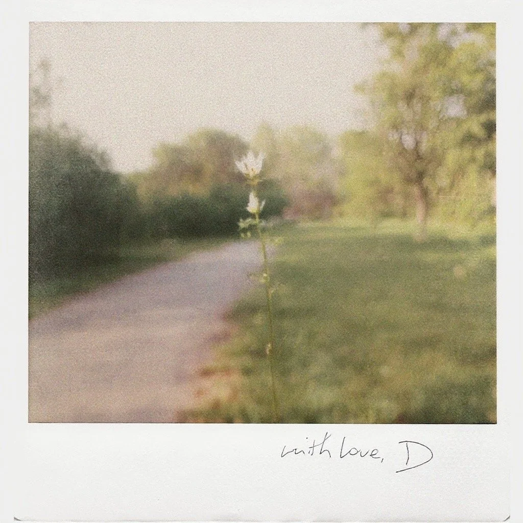 A blurry photo of a solitary white flower on a tall thin stem next to a winding path in a grassy park, with trees and bushes in the background, and a handwritten note that says "with love, D".