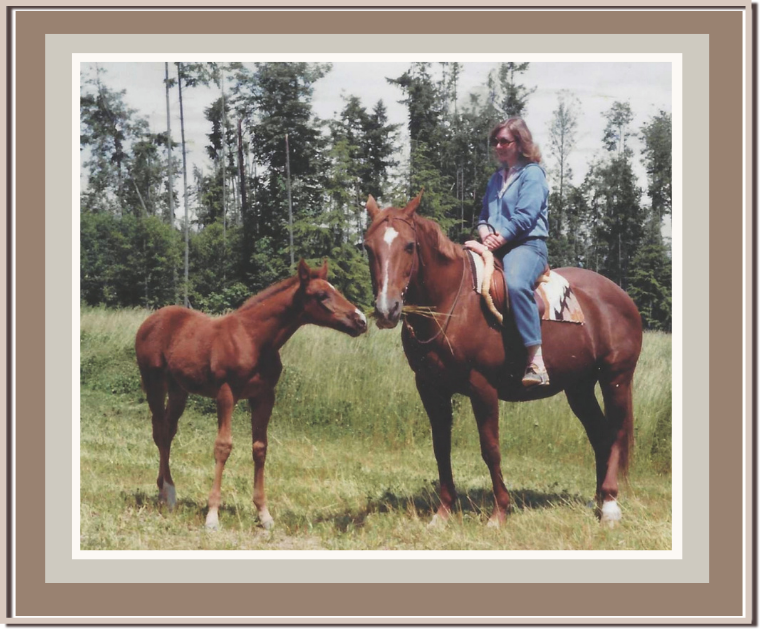 Linda Anne Starr riding a brown horse in a grassy field, with a small brown foal nearby, and trees in the background.
