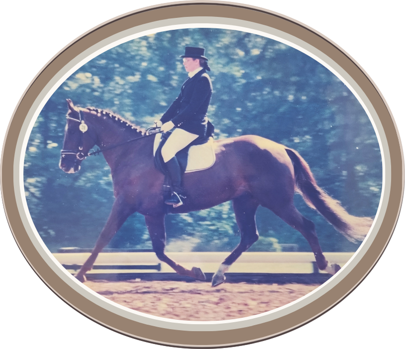 Linda Anne Starr wearing a black riding helmet, black jacket, white breeches, and black riding boots riding a brown horse Competing in Dressage. Linda Anne Starr | Training the Horse's Beautiful Mind
