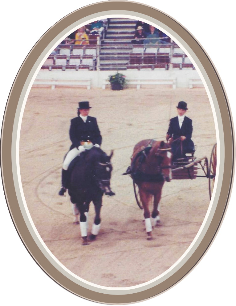 Linda Anne Starr in formal equestrian attire riding horses in an arena, with spectators seated in rows of bleachers in the background. Linda Anne Starr | Training the Horse's Beautiful Mind