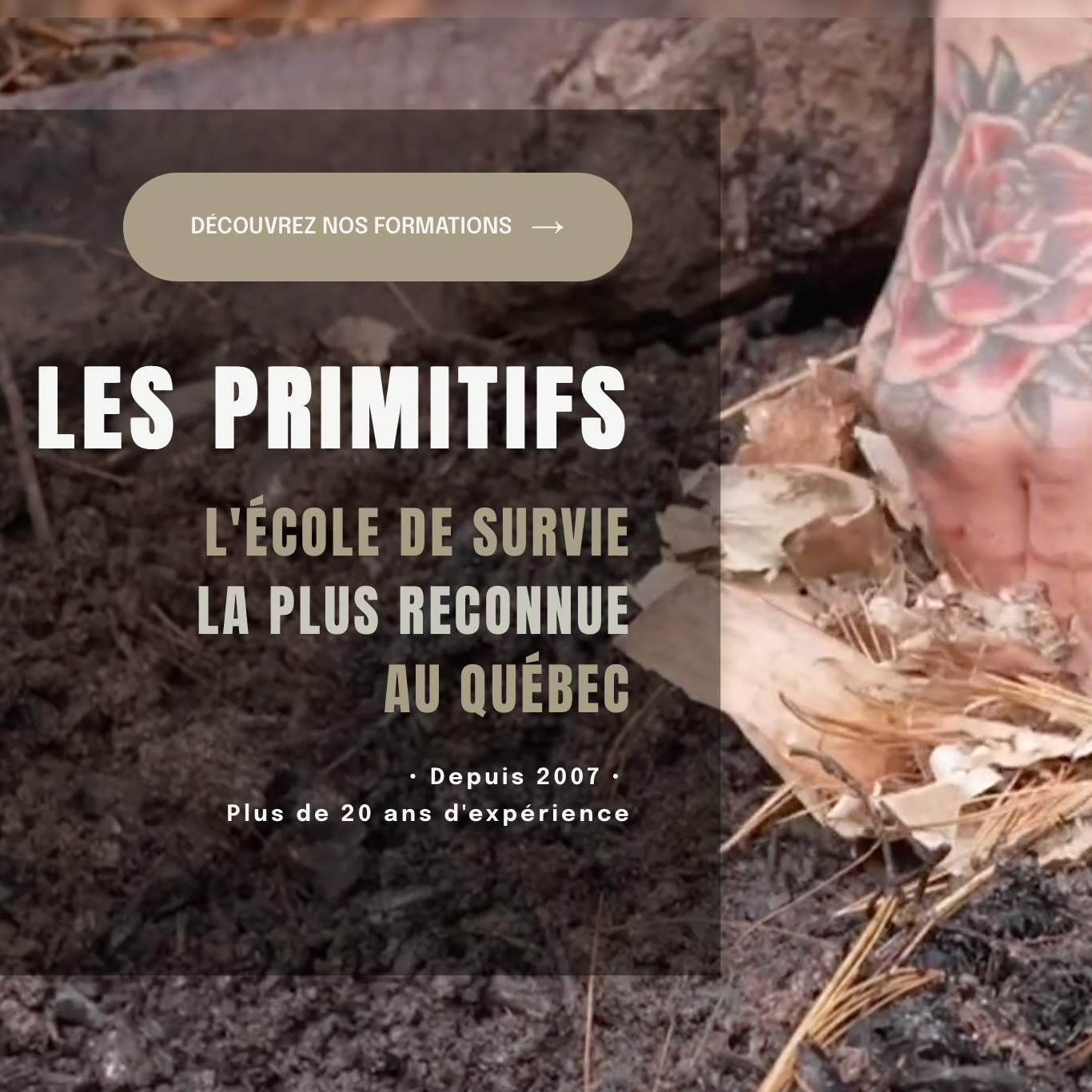 Site Web : Les Primitifs