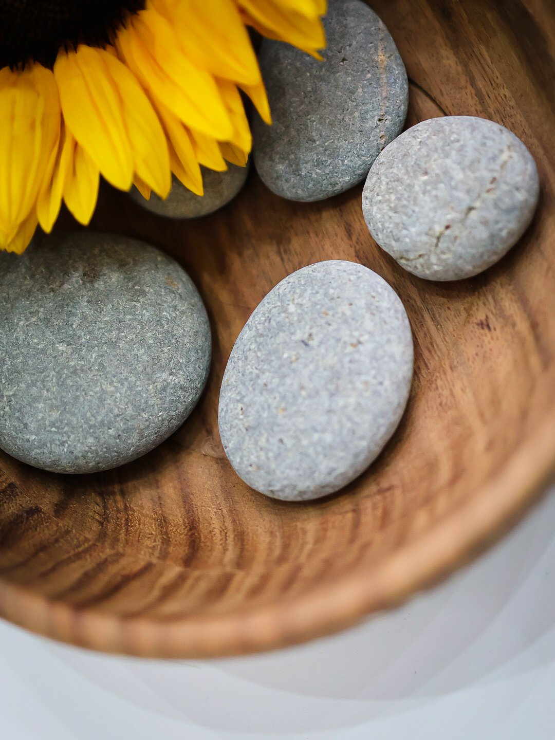 Close-up of smooth gray stones and a yellow sunflower in a wooden bowl.