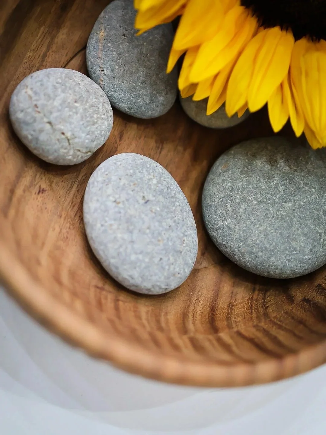 Close-up of smooth gray stones and a sunflower with yellow petals in a wooden bowl.