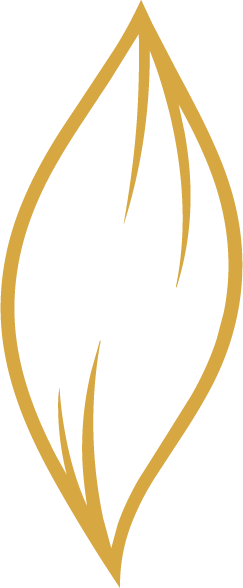 A black background with a gold, leaf-shaped design featuring inner lines.