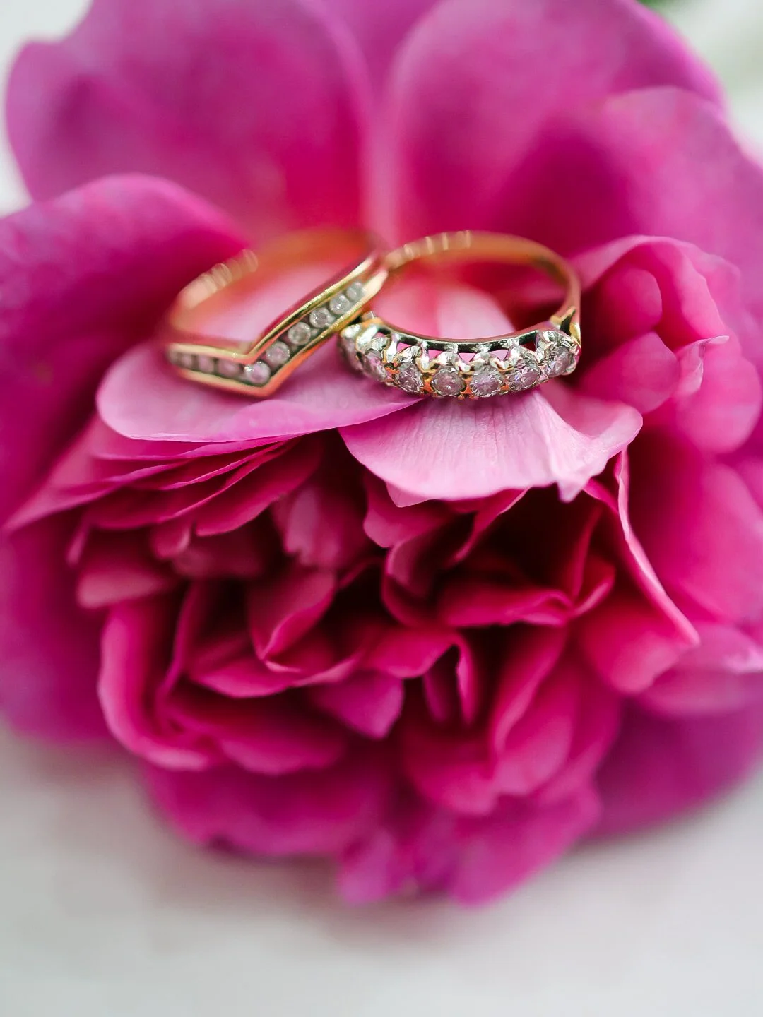 Two gold rings with diamonds resting on a vibrant pink flower.