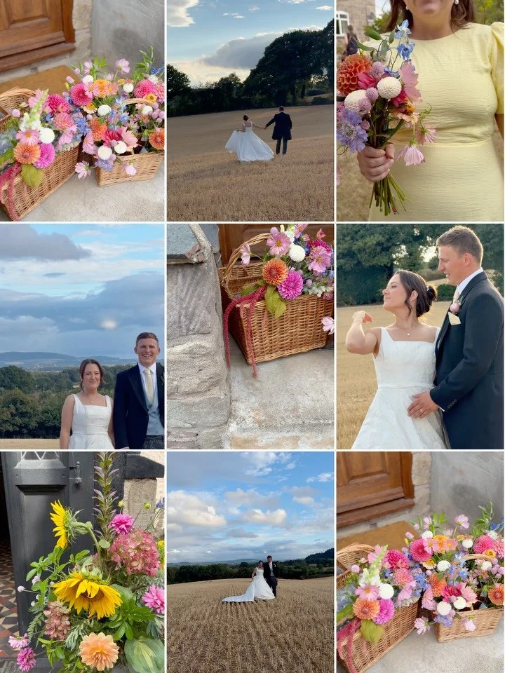 36 little videos from four very different days&hellip; which is a pretty good snapshot of how varied this job can be 🤍

Weddings, beauty, products, all the little details in between. I love getting to step into a different spaces for a day and find 