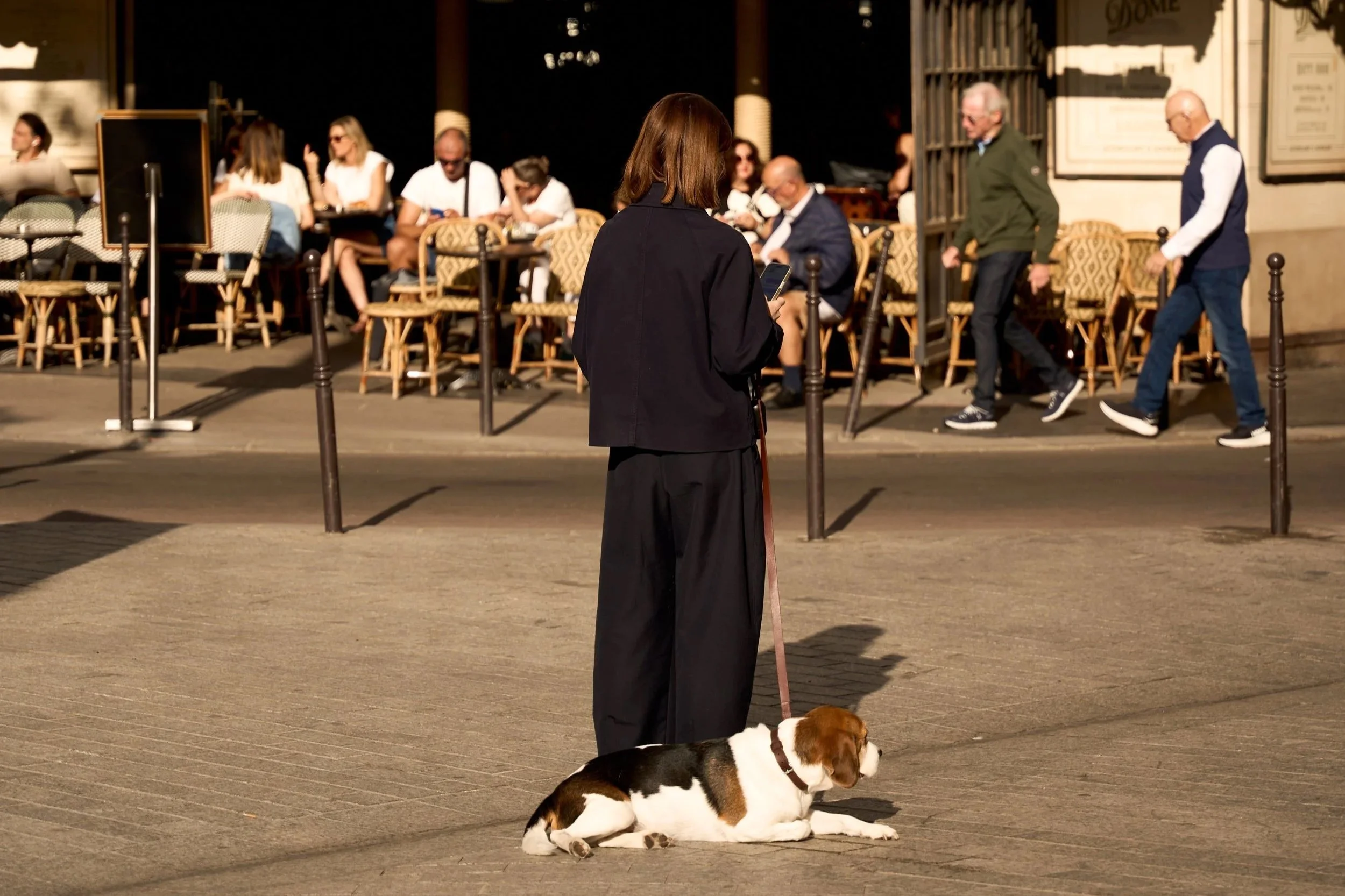Paris café terrace with outdoor seating, pedestrians, and a dog in the foreground