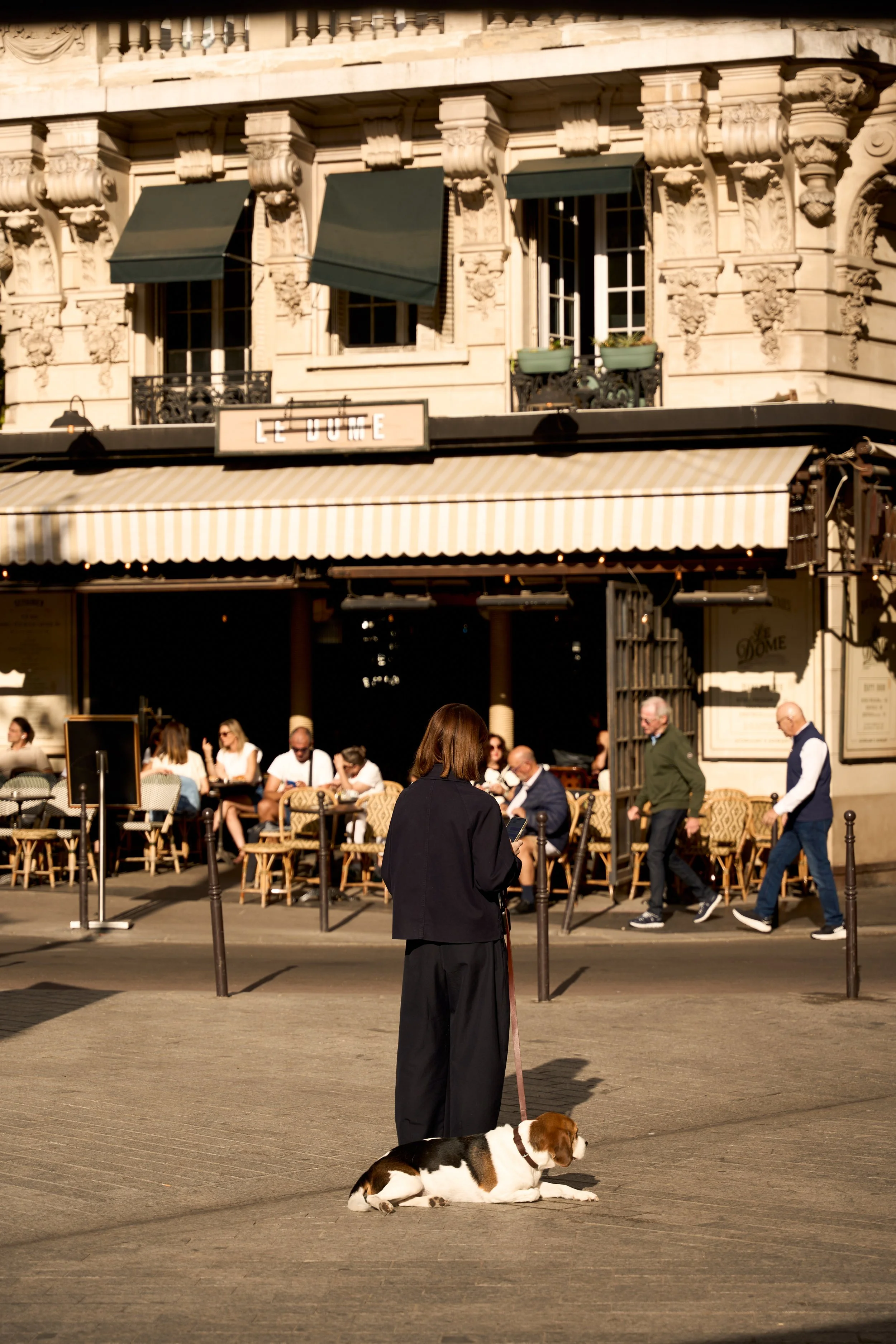 Paris café terrace with outdoor seating, pedestrians, and a dog in the foreground