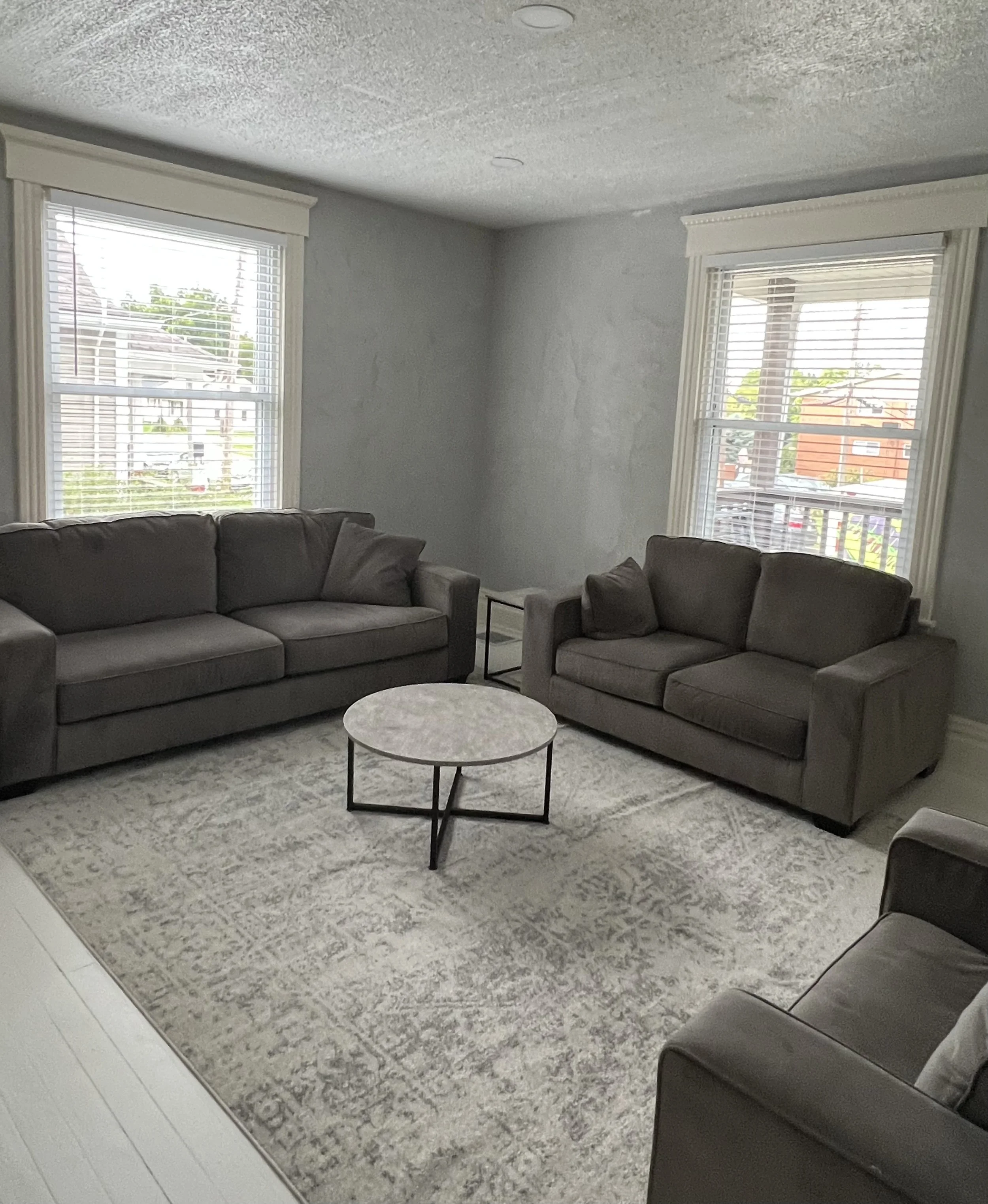 Living room with gray sofa, armchairs, round side table, area rug, and two windows with white blinds letting in natural light.