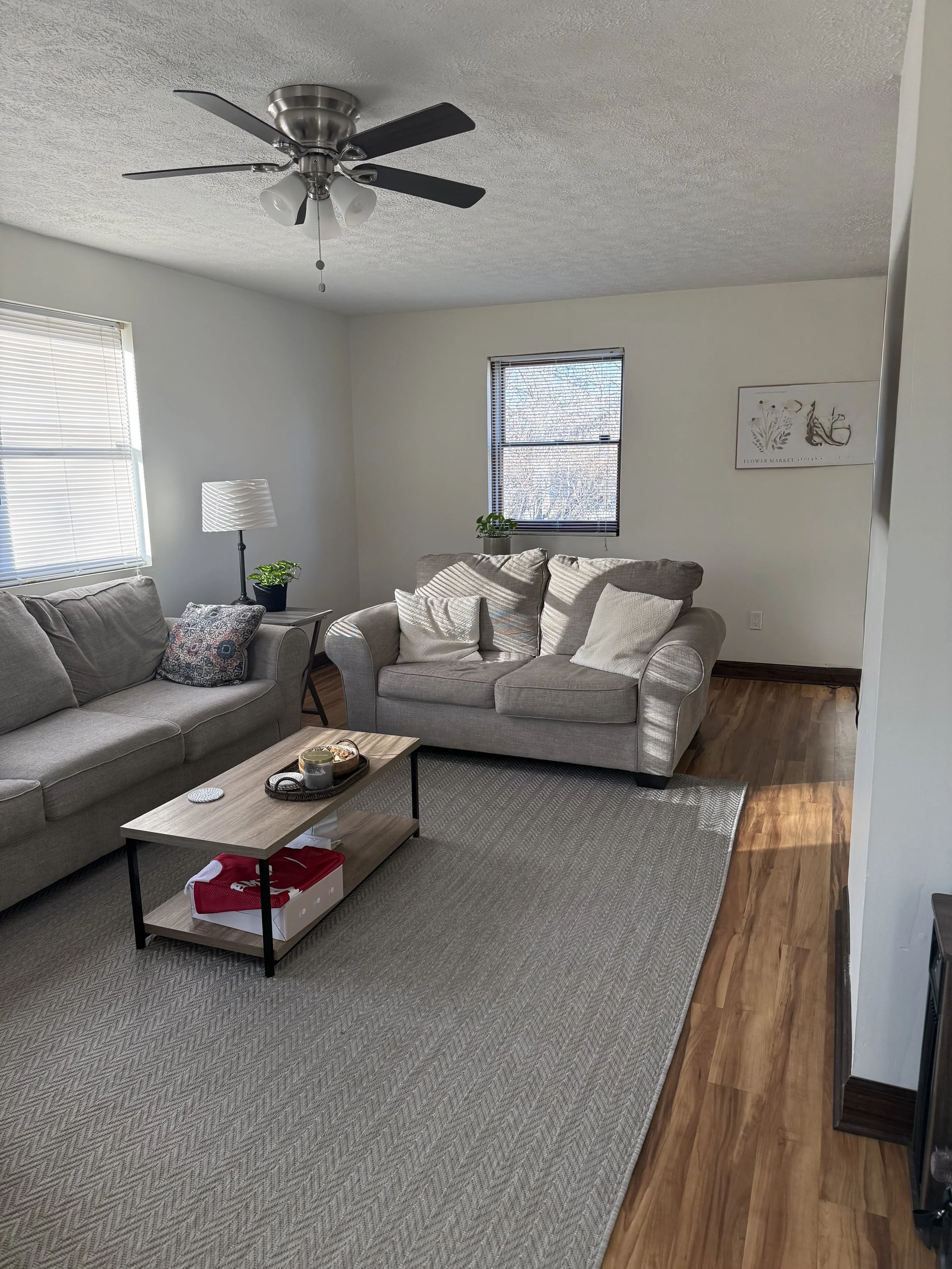 Living room with a gray sofa, beige armchair, coffee table, lamp, window blinds, and wall art. Ceiling fan is visible on the ceiling.