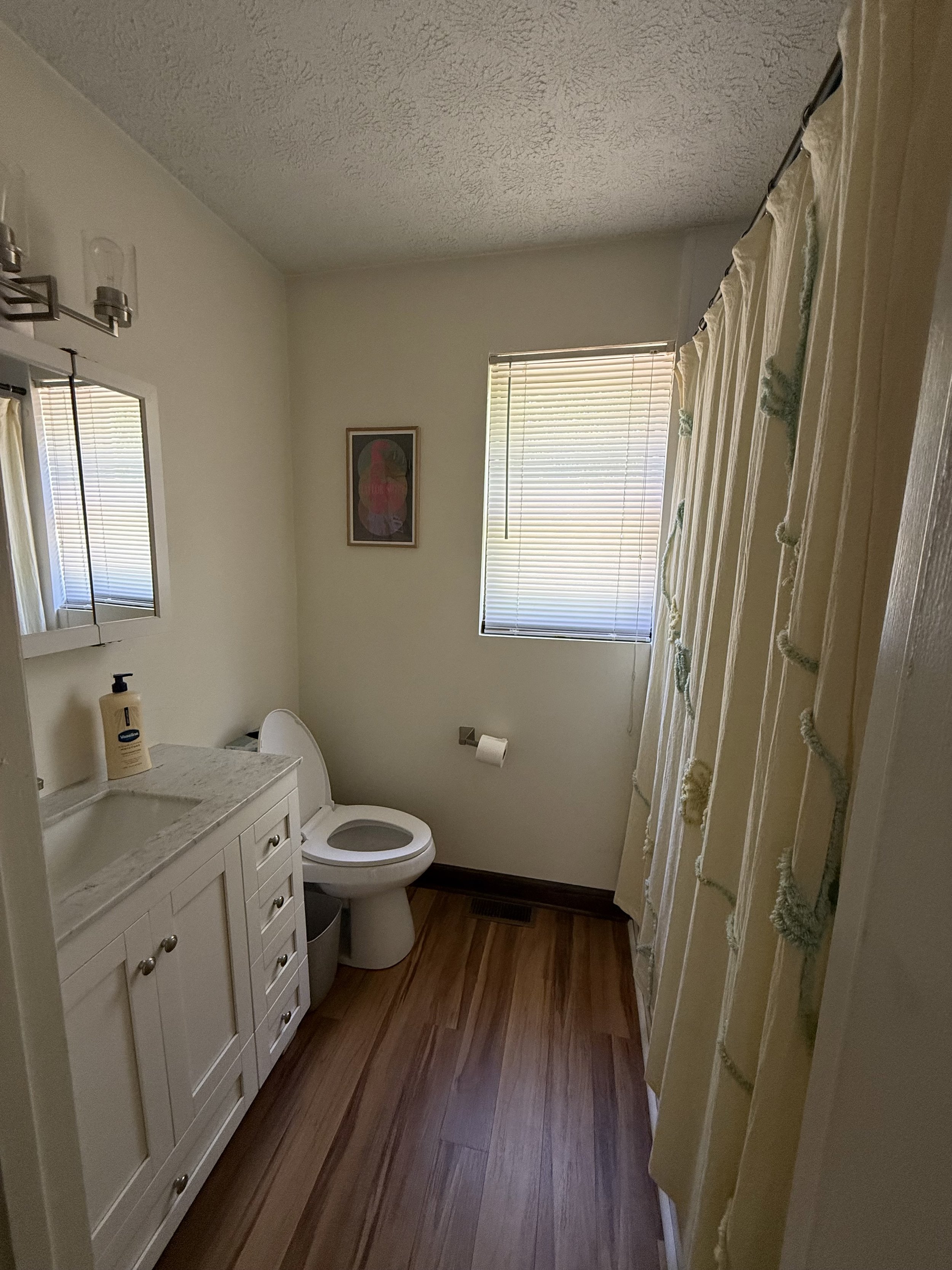 Small bathroom with a vanity, mirror, toilet, window with blinds, and curtains on the right side, hardwood floor, and a framed artwork on the wall.