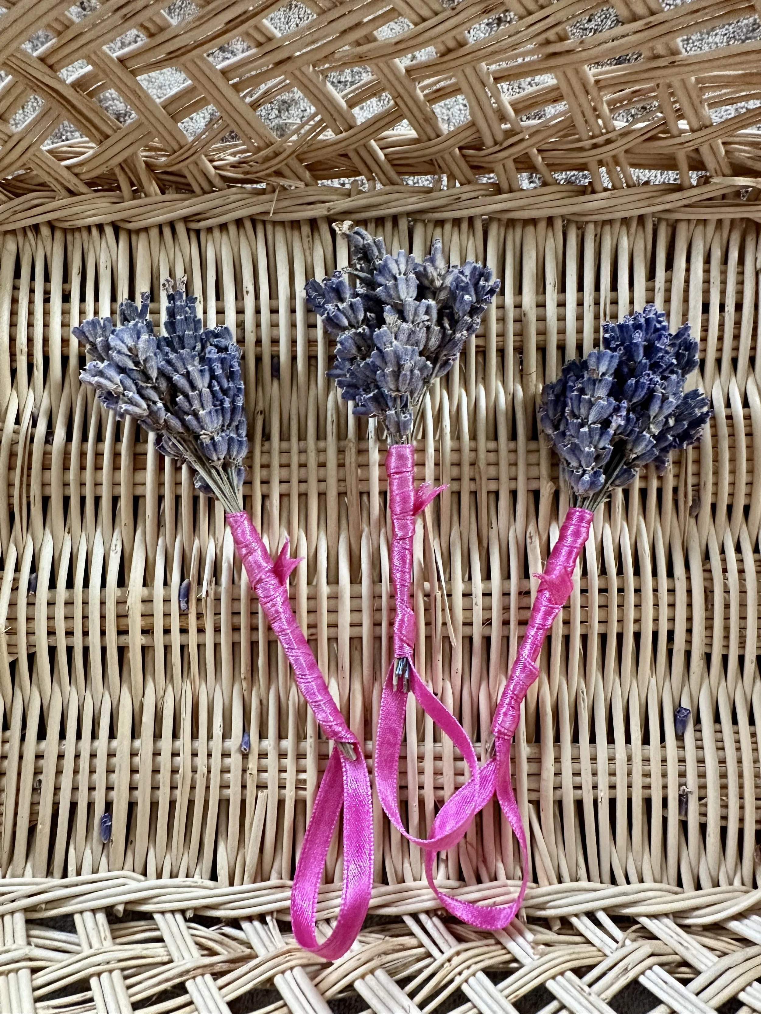 Lavender Posies