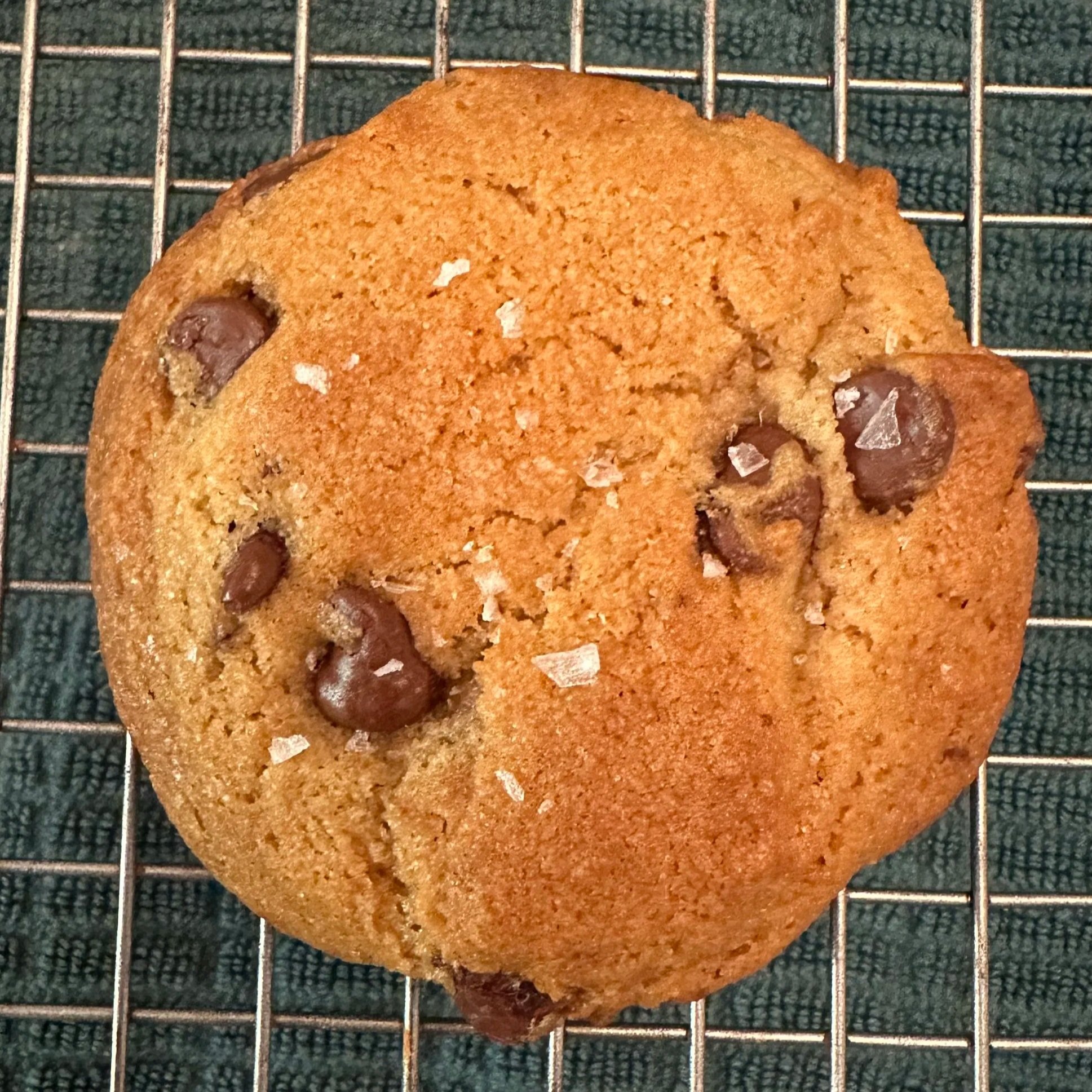Choc+Chip+Cookie.jpg