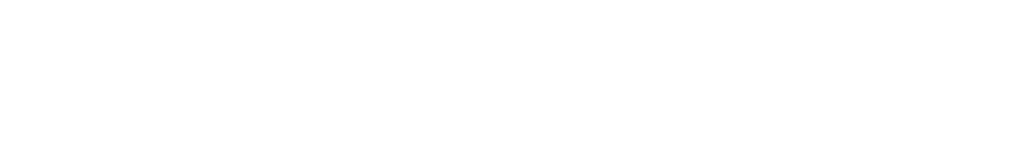 The Human Spark