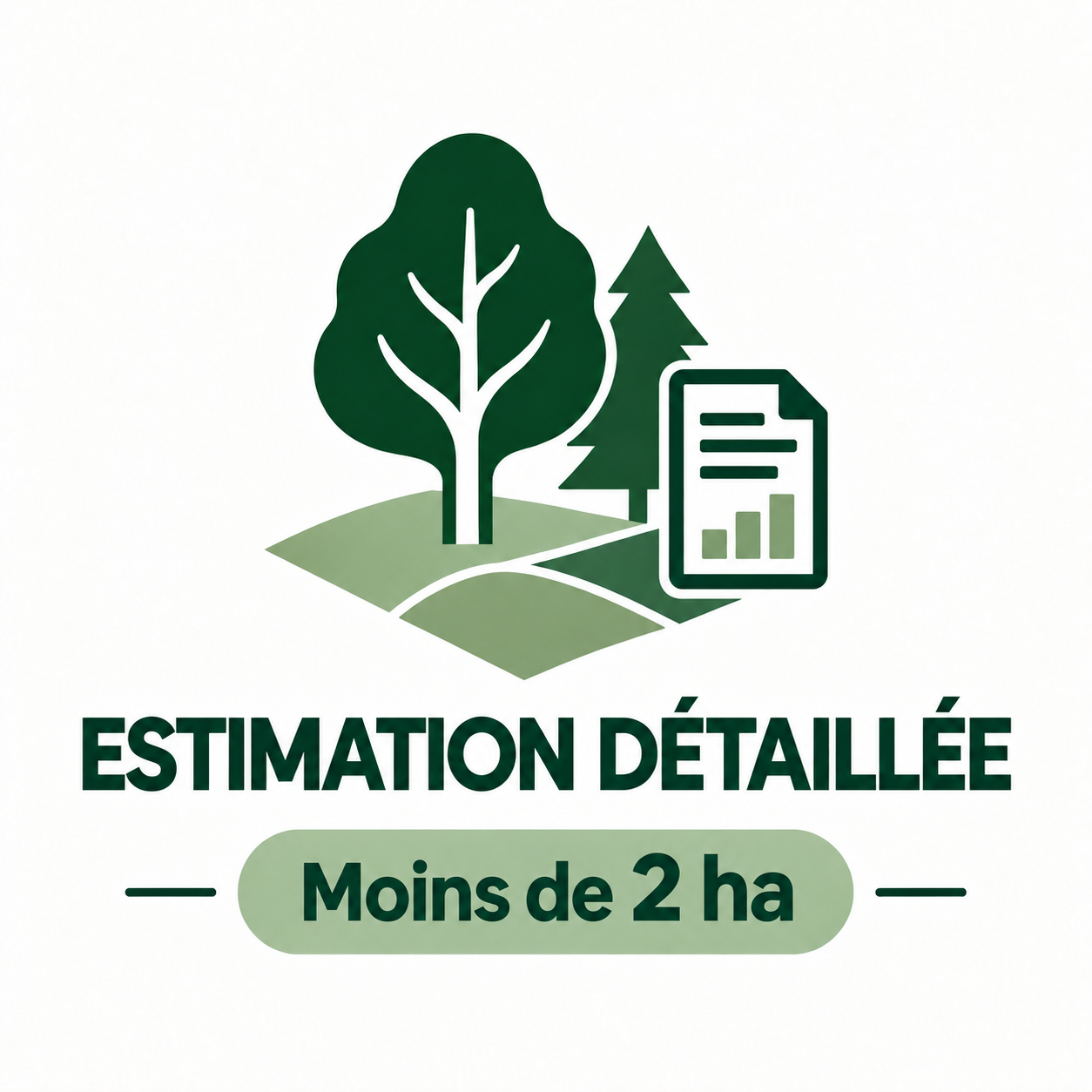 Estimation détaillée2.png