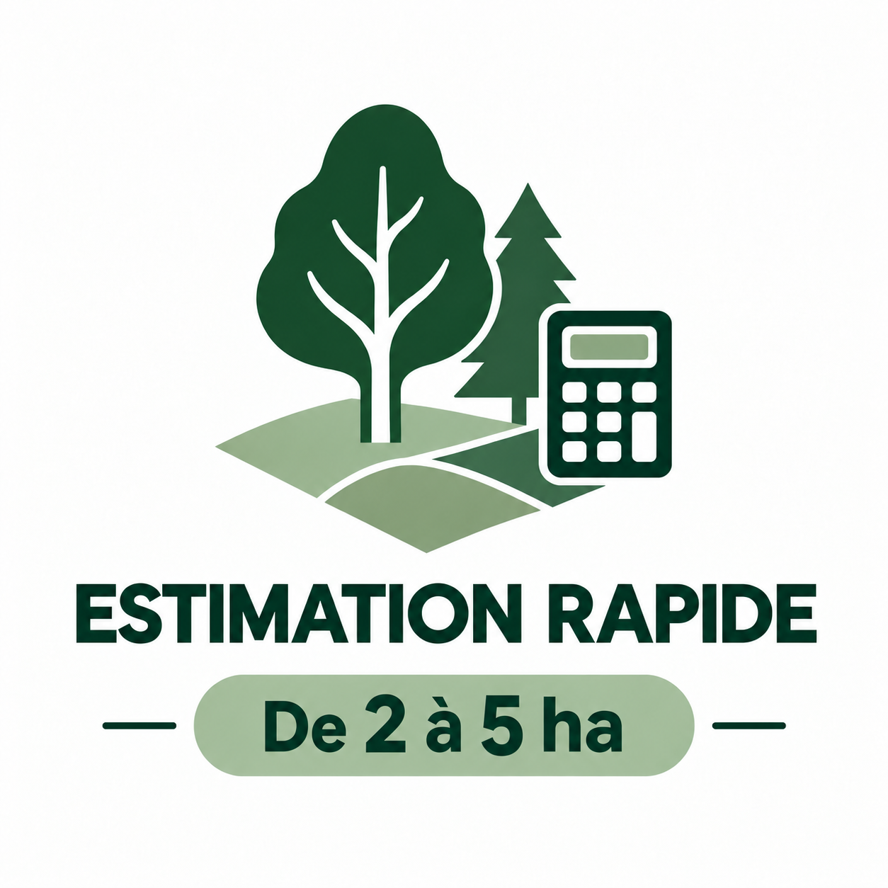 Estimation rapide 2 a 5.png