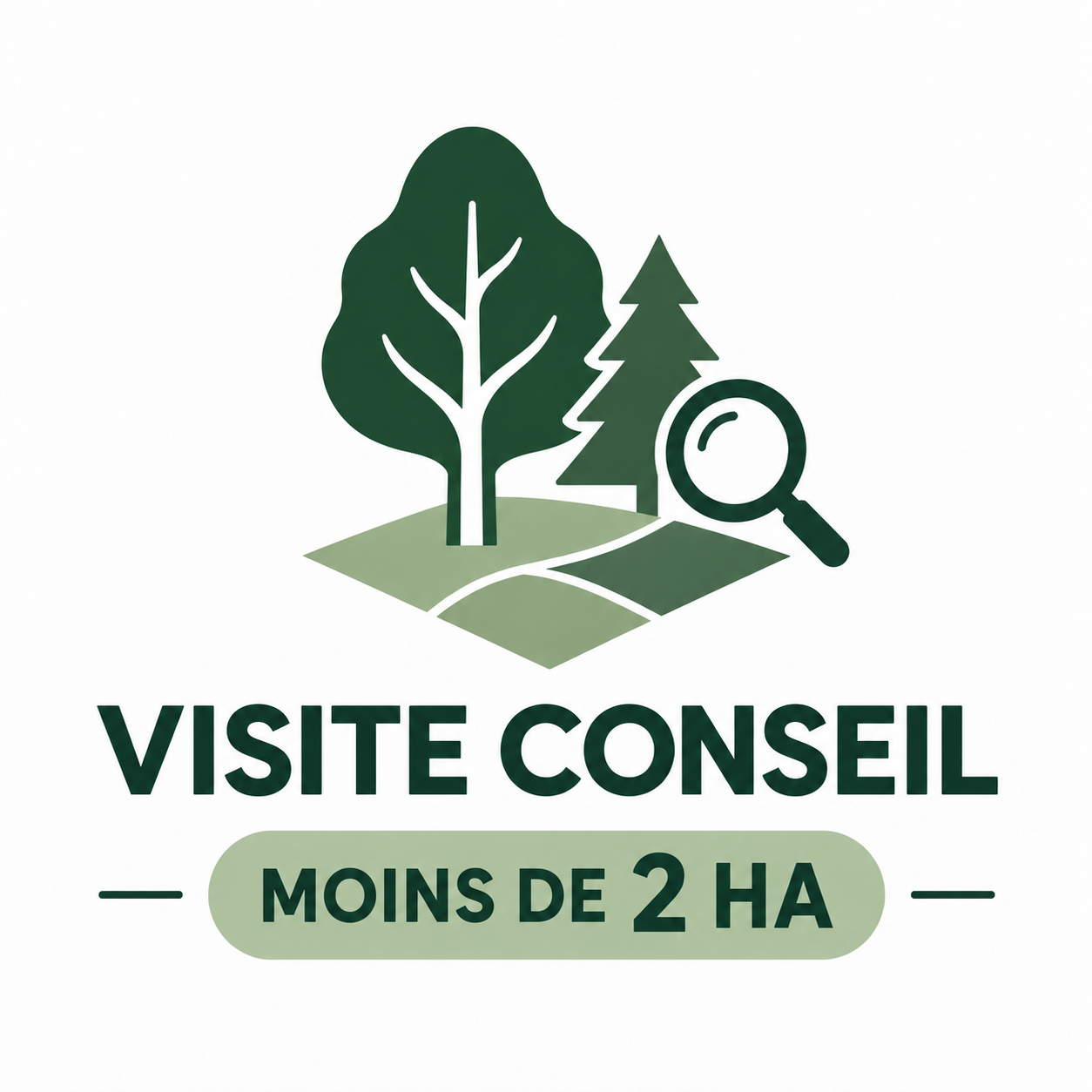 Visite 2 ha.png (copie)
