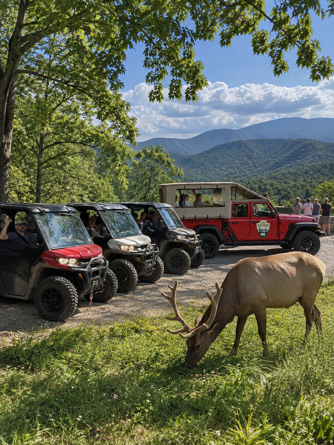 Jeep Utv Elk Smoky Mountain VIews