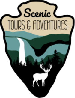 1 Logo No Background 2.png