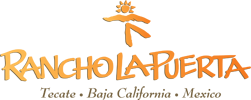 logo (1).png