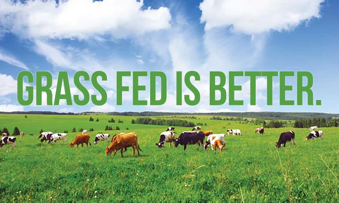 grassfed