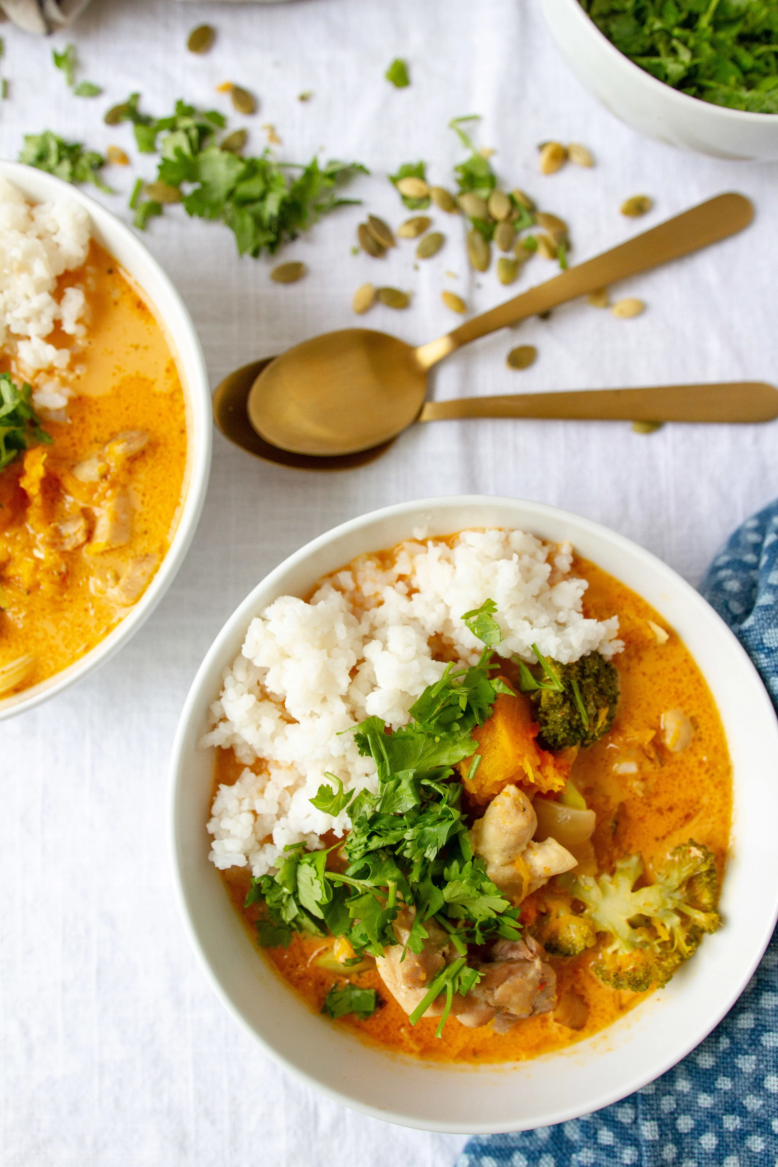 Pumpkin Chicken Curry 