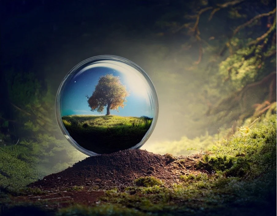 A glass sphere resting on the ground, reflecting a tree on grass under a blue sky.