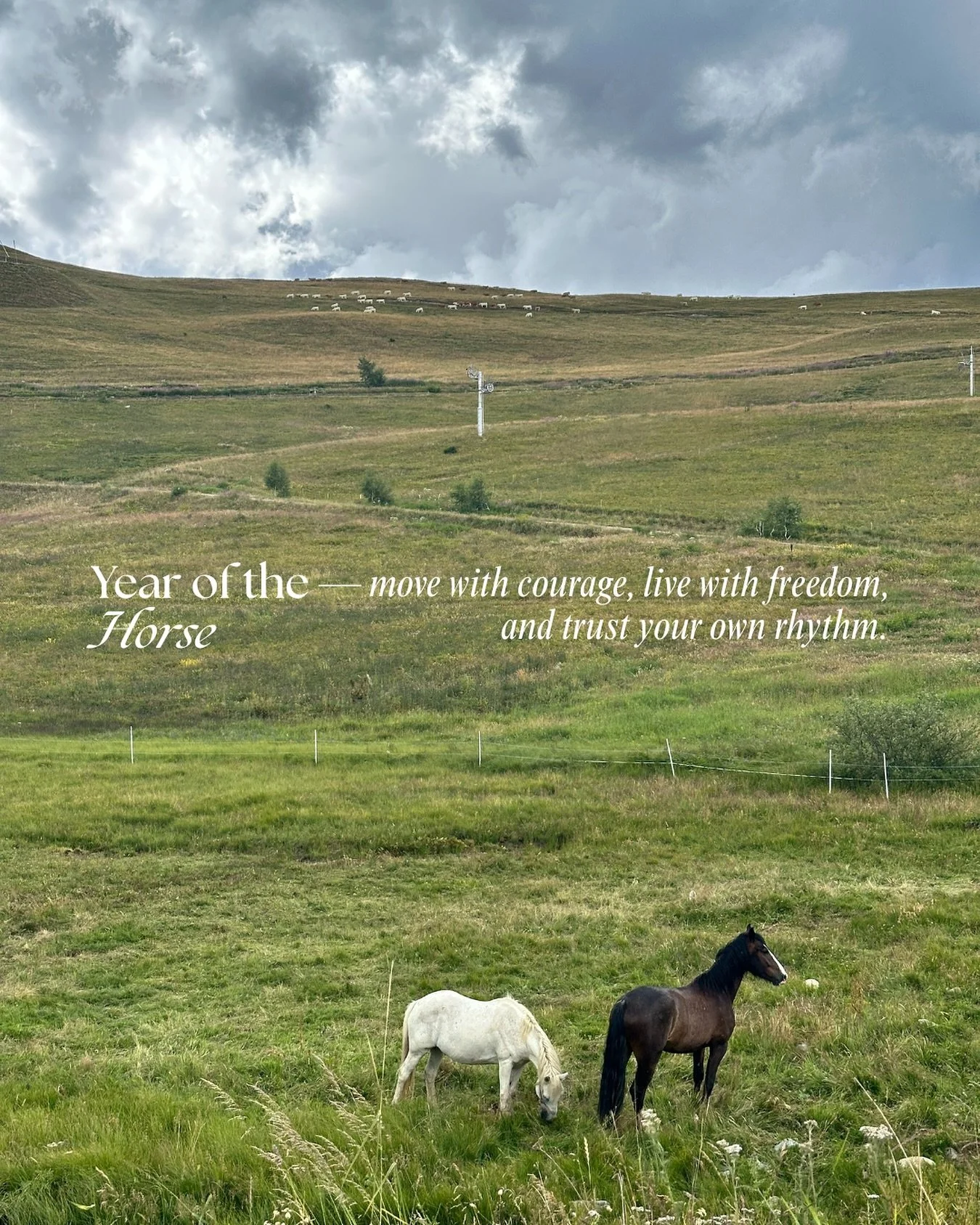 The year of the horse is here &mdash; a year of energy, courage and forward momentum.

Let this year be a year to move boldly, embrace change, and live with intention. Like the mountains around us, life has its own pace &mdash; sometimes still, somet