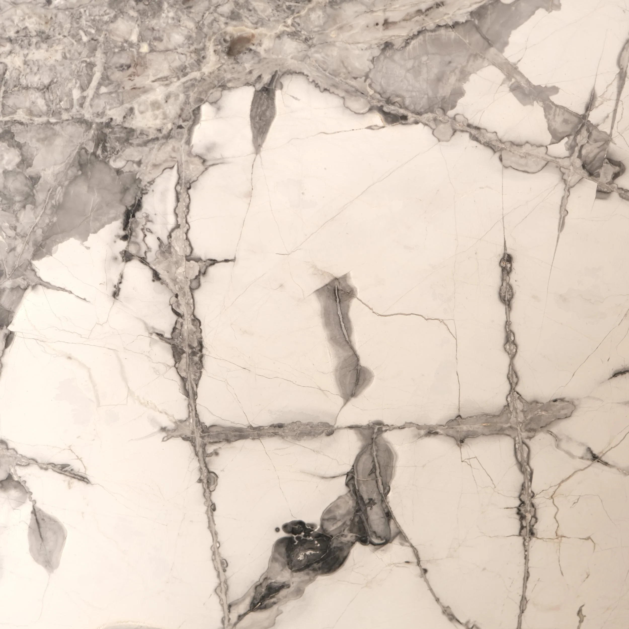 Stone Collection, Gaf & Co.