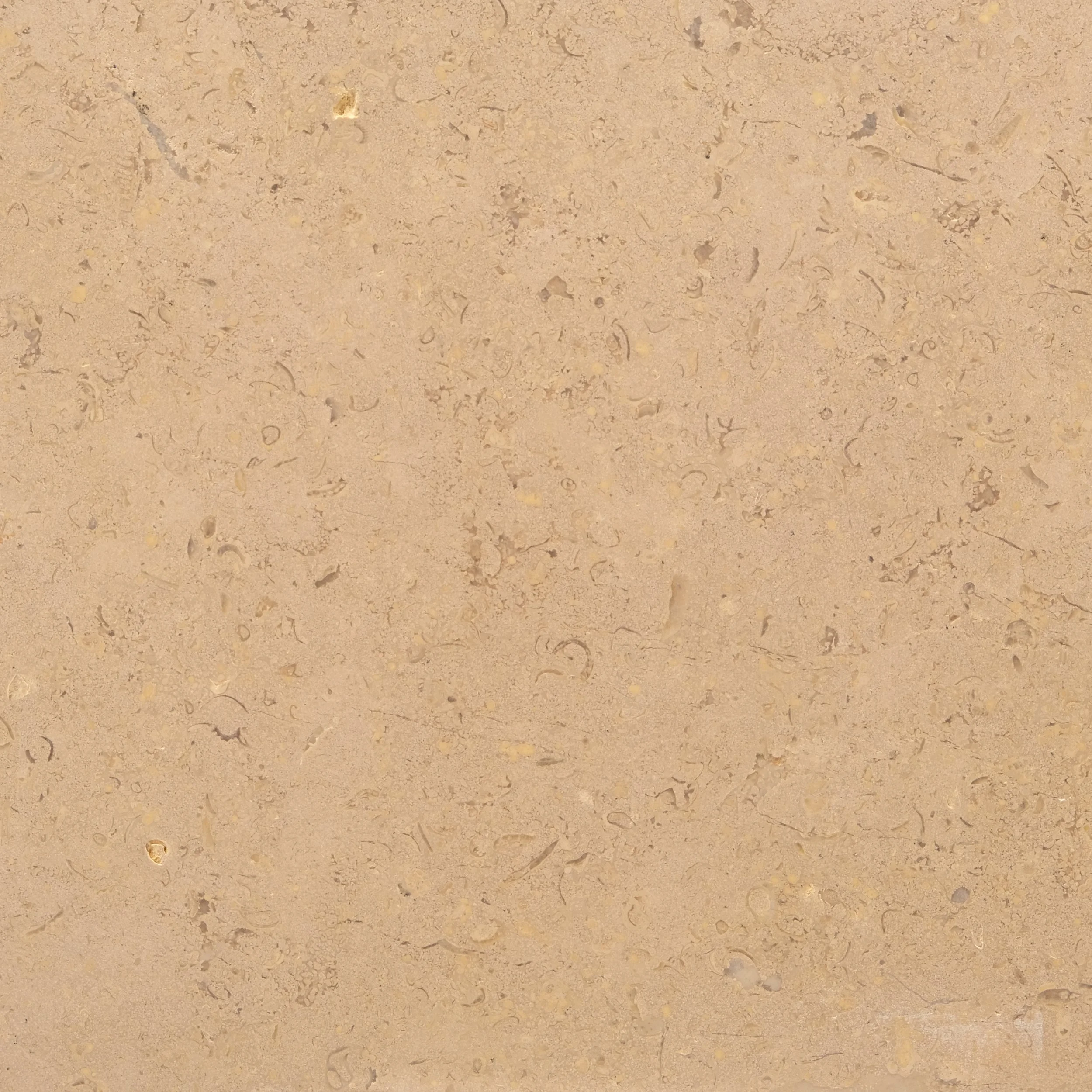Stone Collection, Gaf & Co.