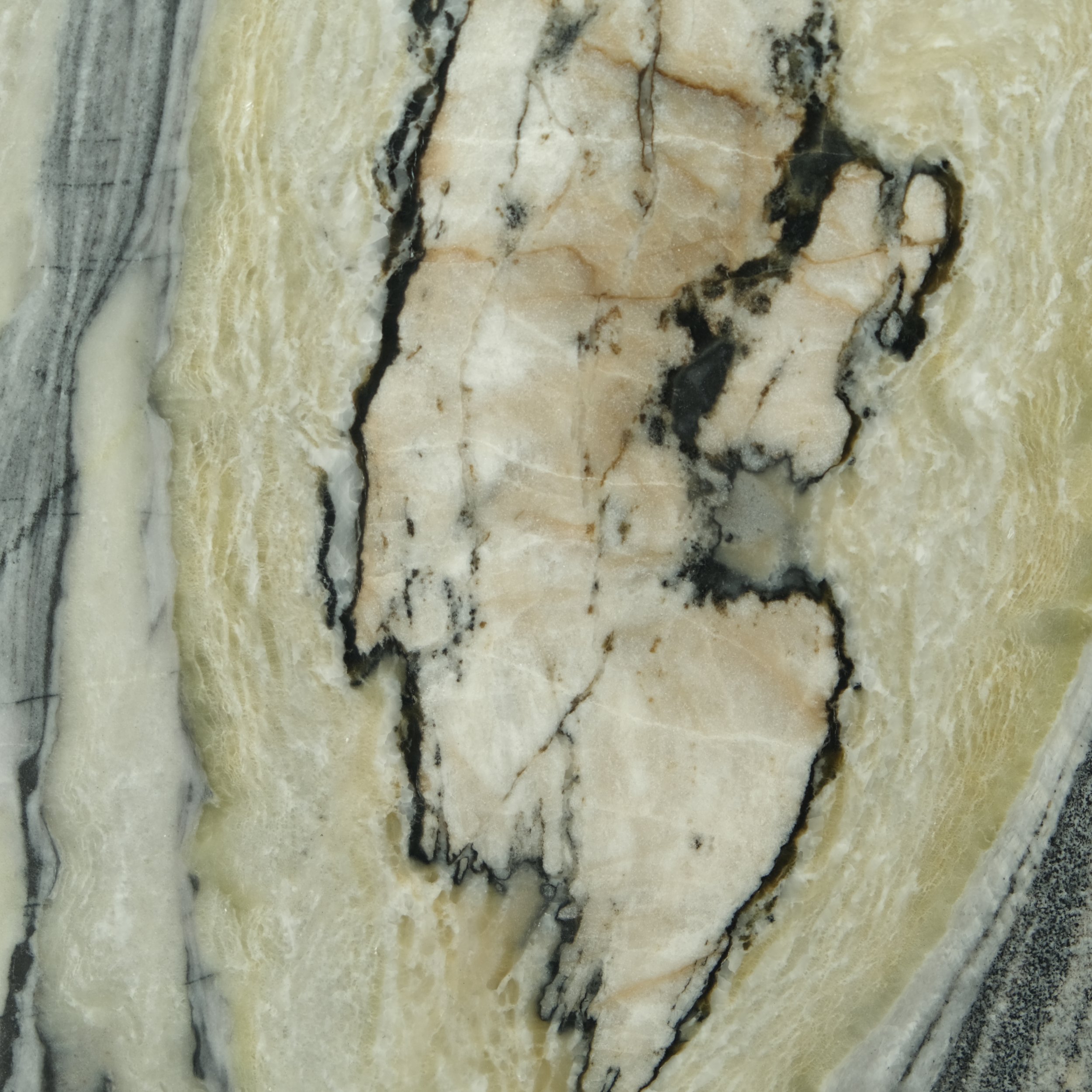 Stone Collection, Gaf & Co.