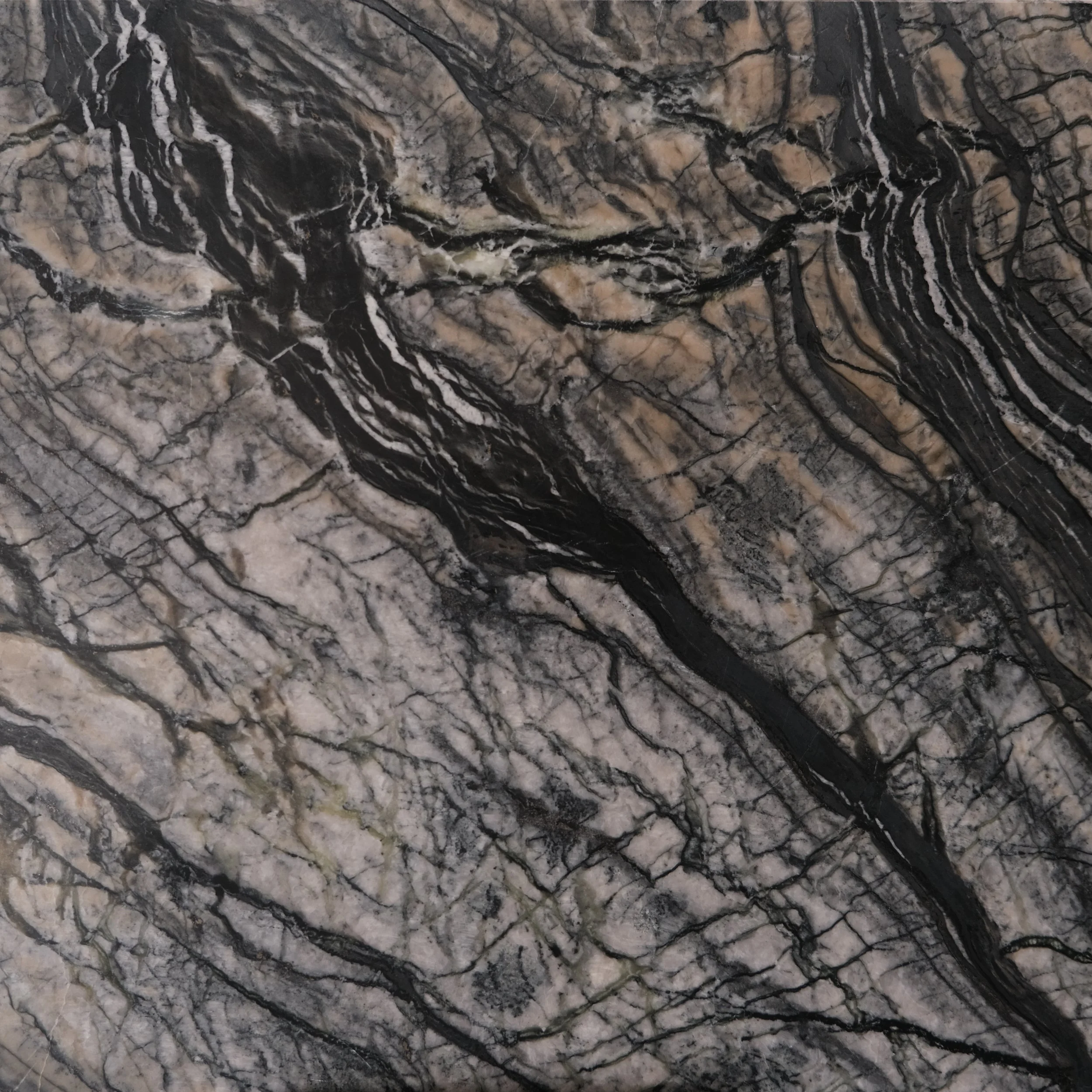 Stone Collection, Gaf & Co.