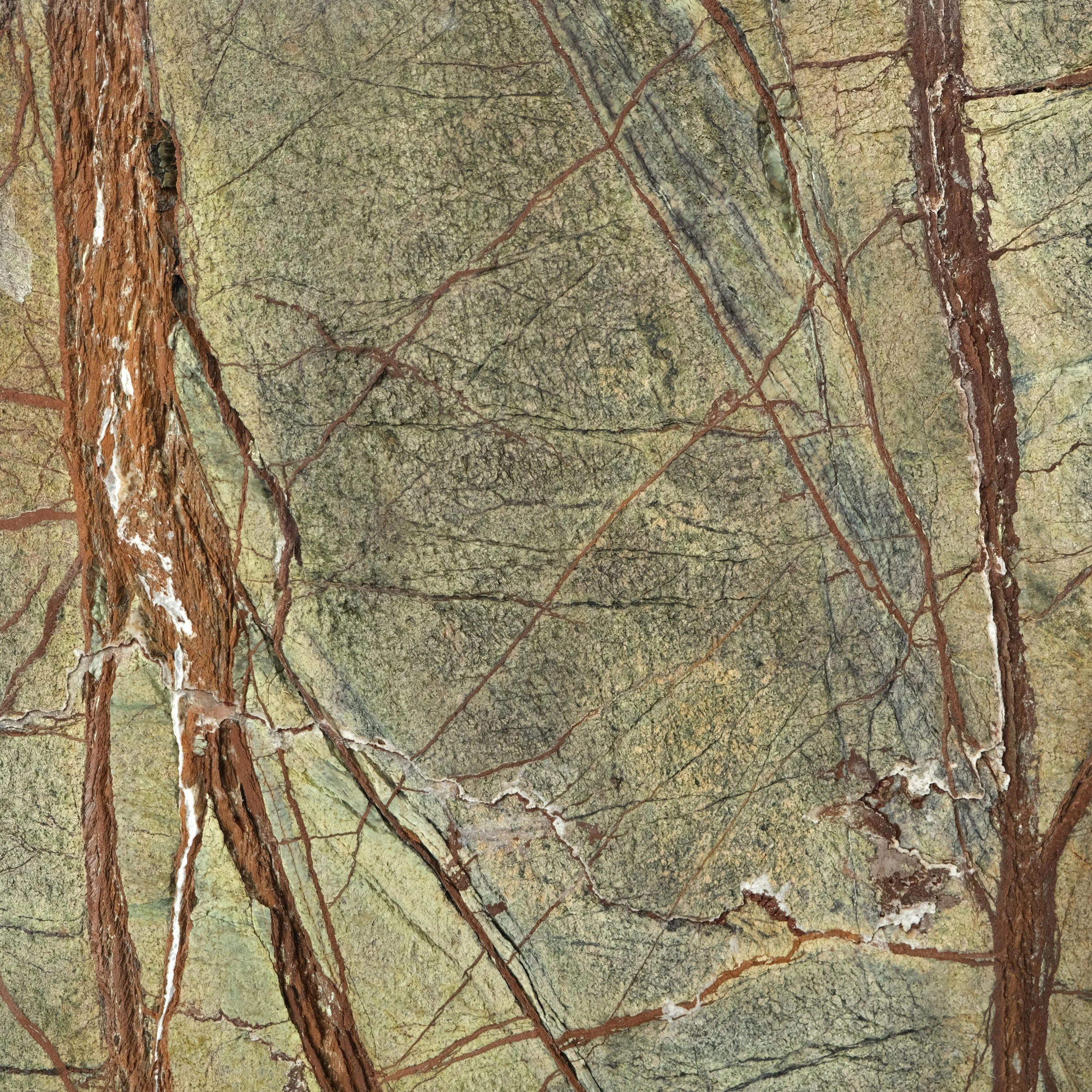 Stone Collection, Gaf & Co.