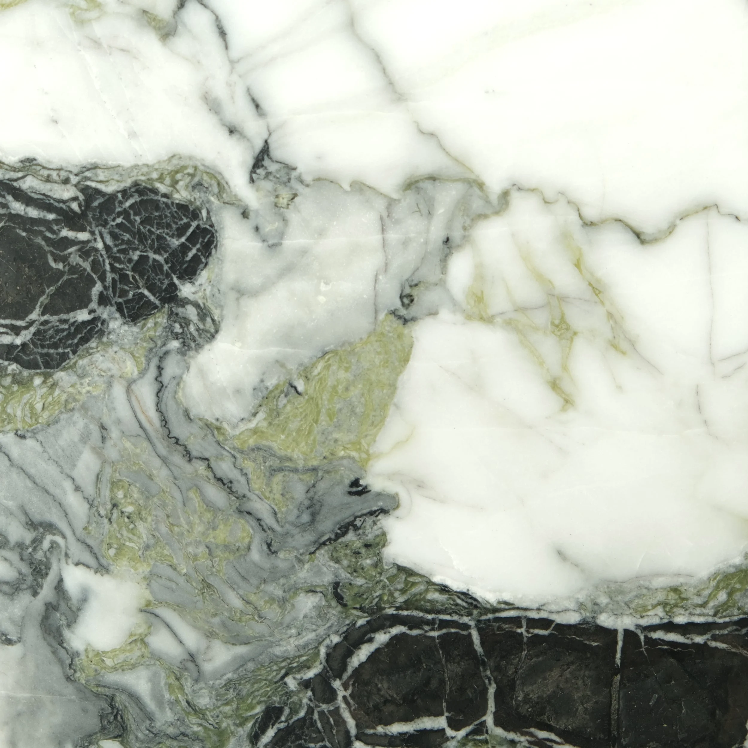 Stone Collection, Gaf & Co.