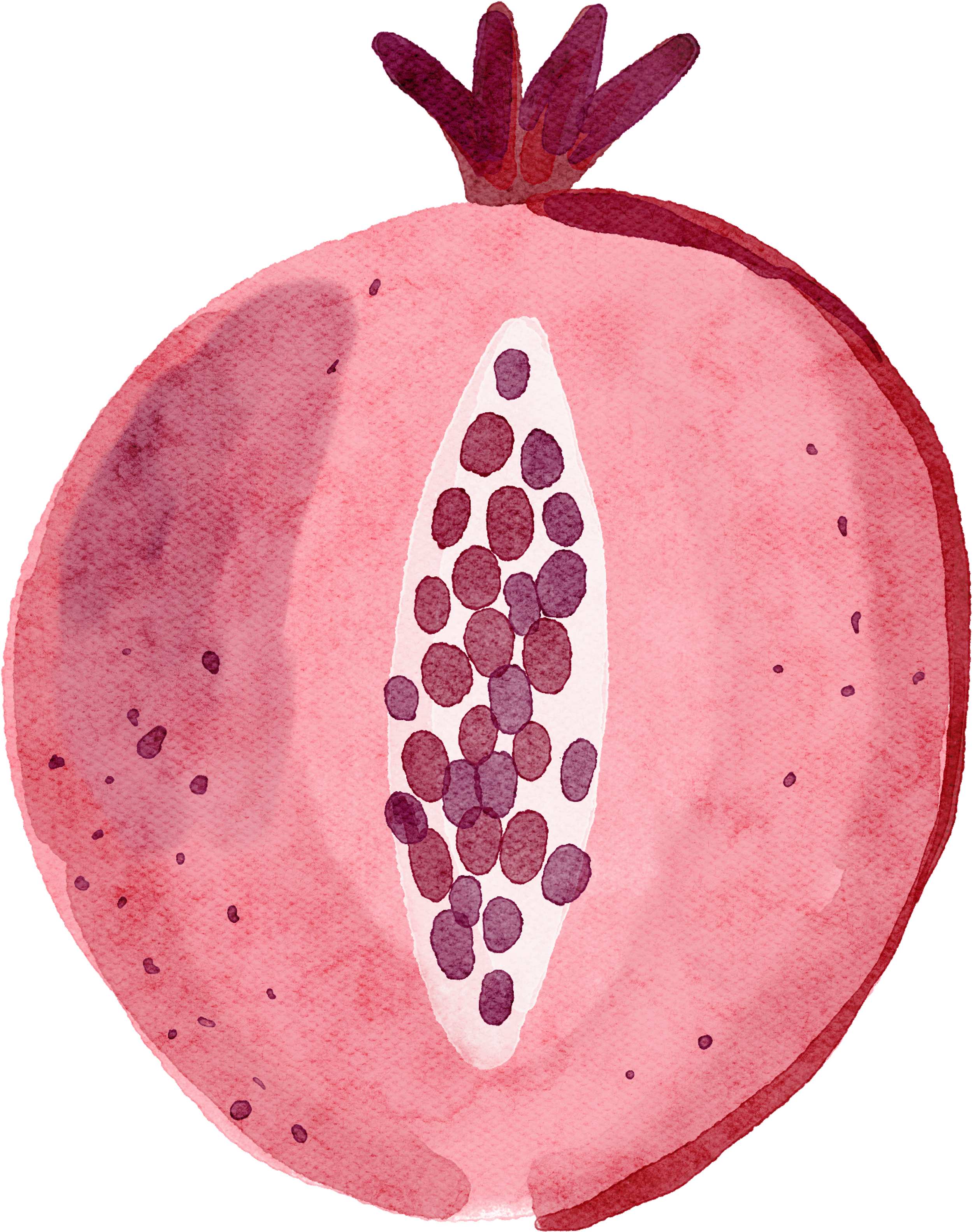 Watercolor illustration of a pomegranate fruit, cut in half, displaying the seeds inside.