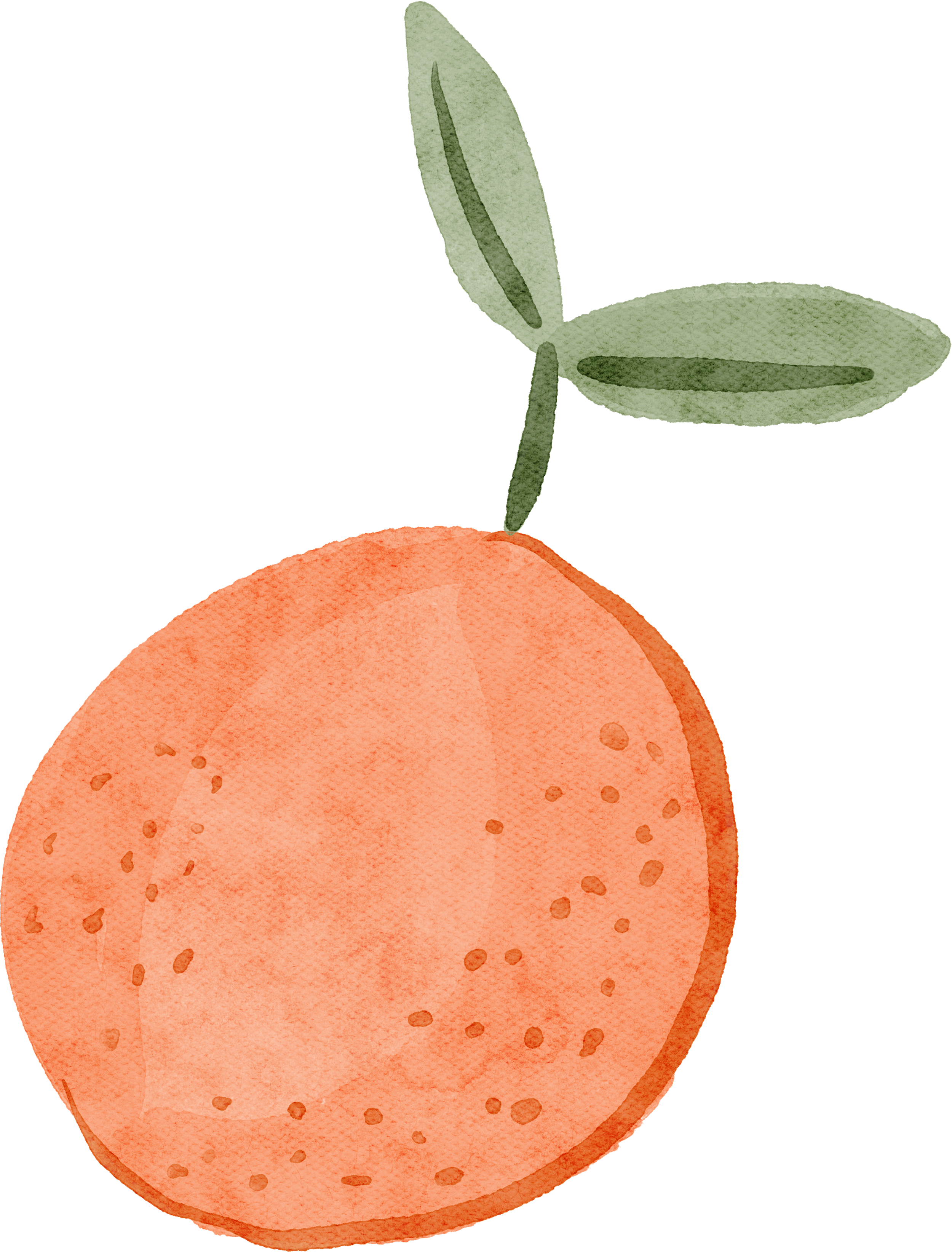 A watercolor illustration of an orange with a green olive branch on top, featuring three green leaves.