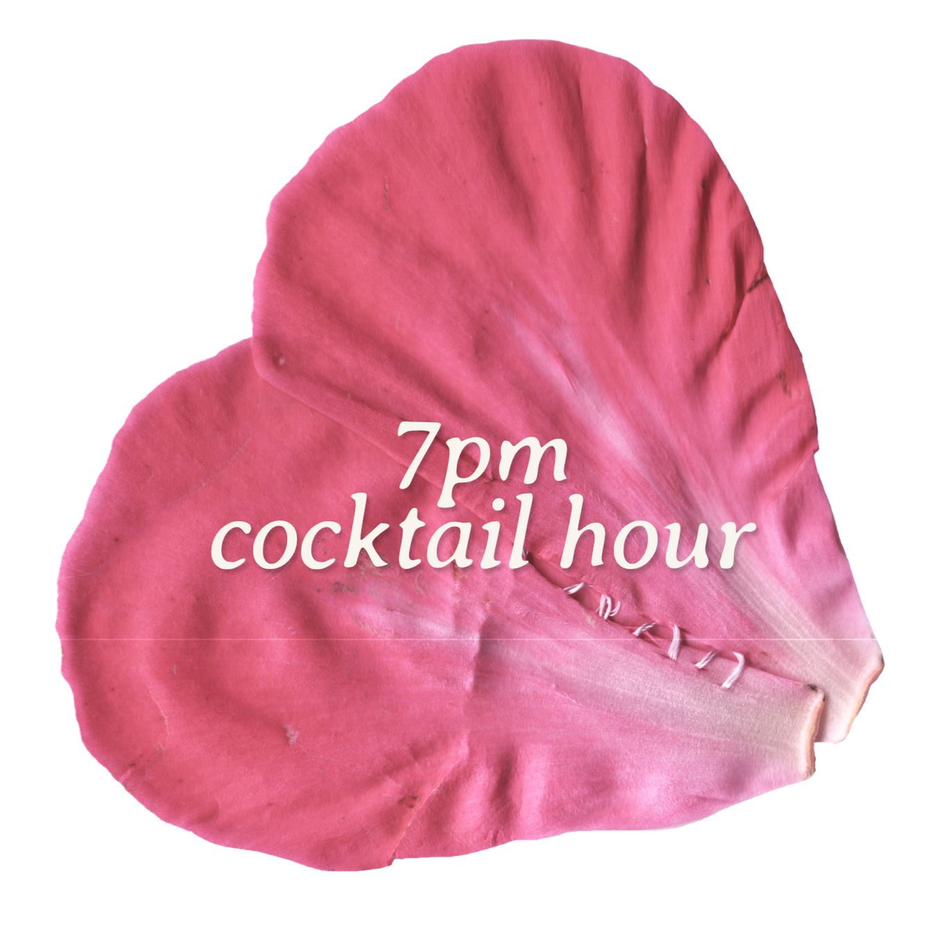 A pink flower petal with the text '7 pm cocktail hour' written on it.