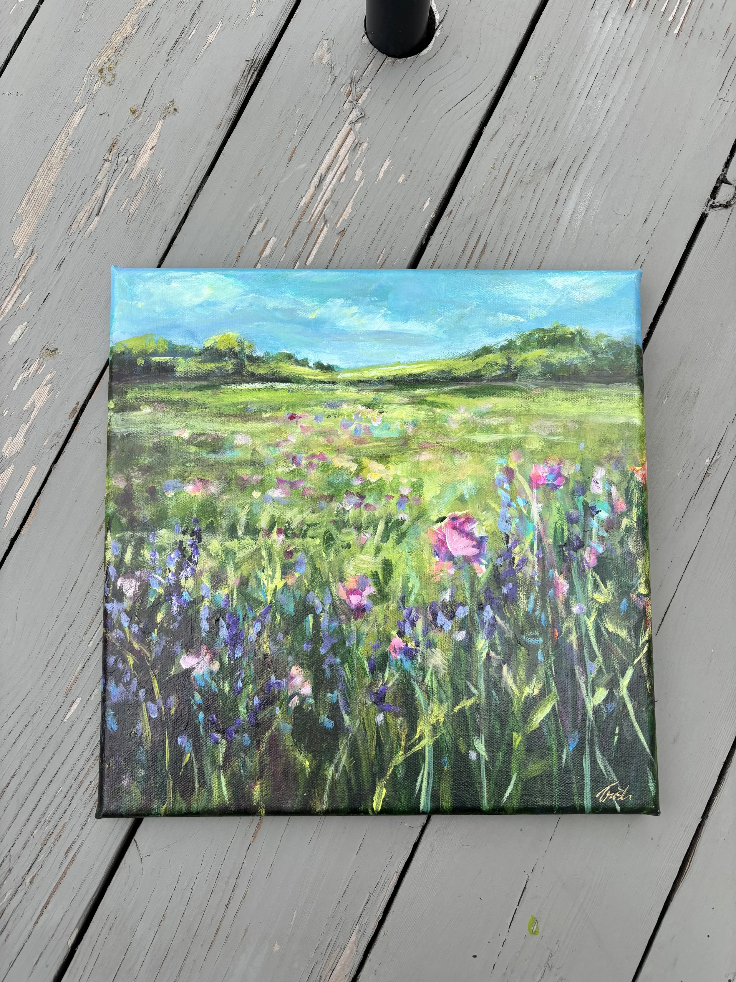 field of flowers