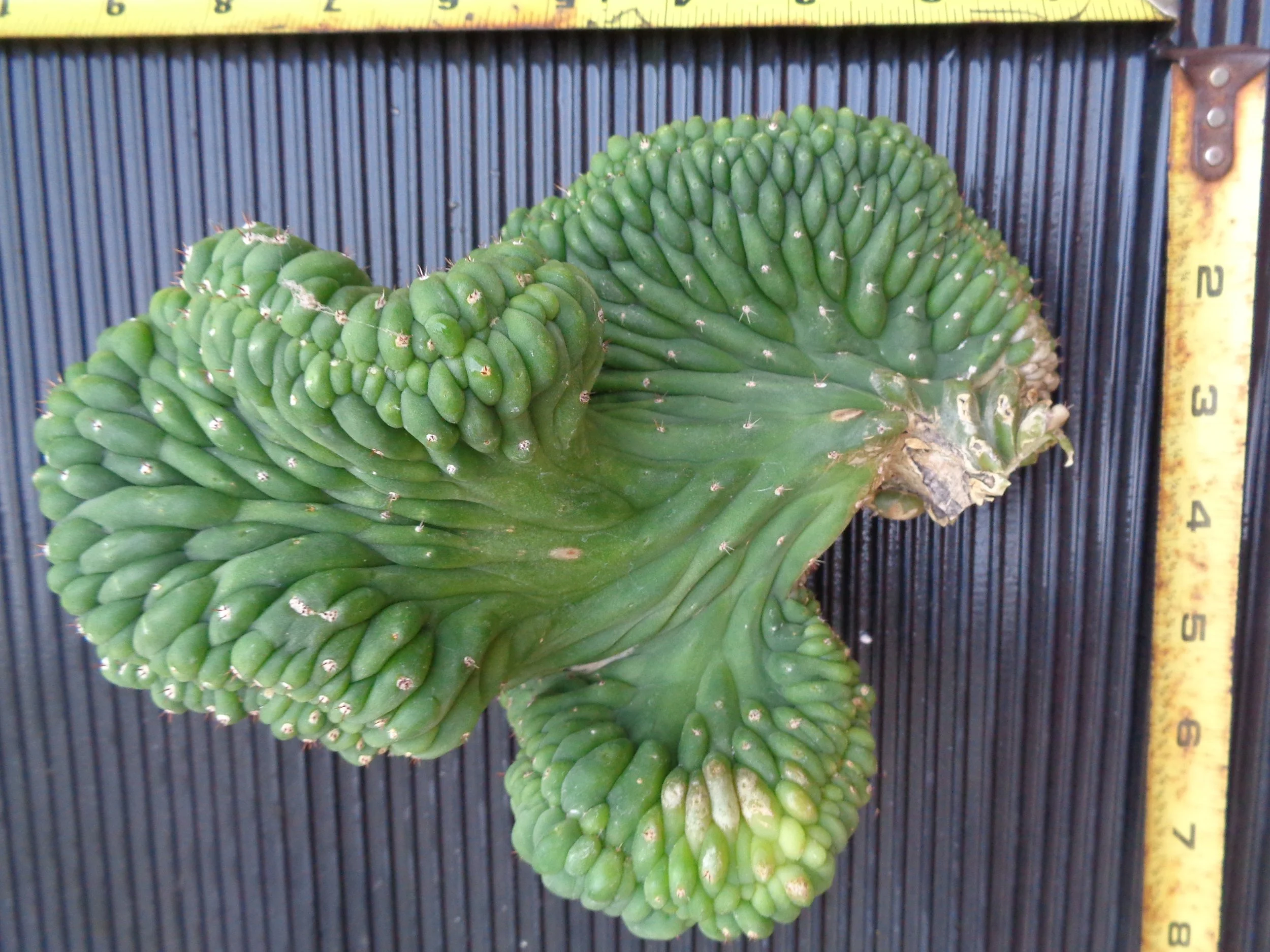 DSC01105.JPG