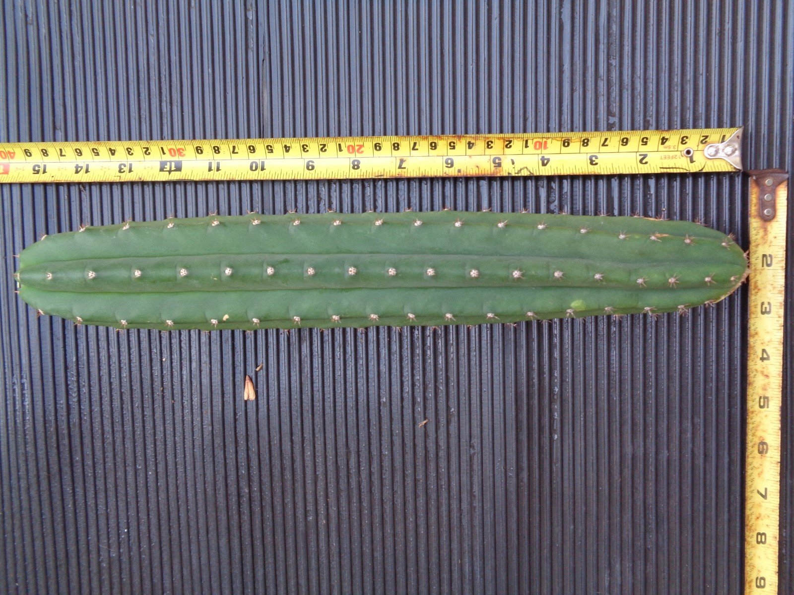 s-l1600-2.jpg