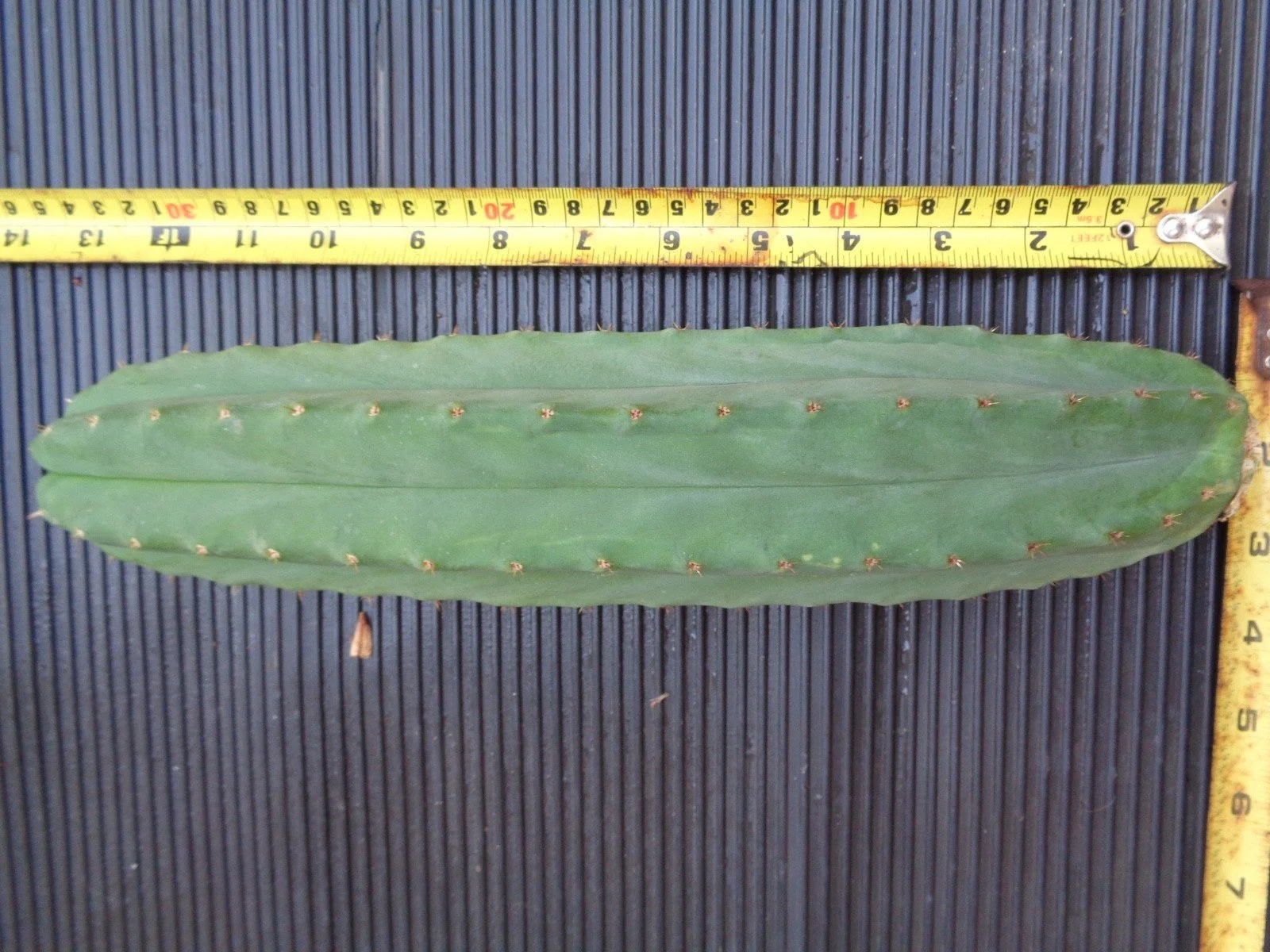 s-l1600-2.jpg