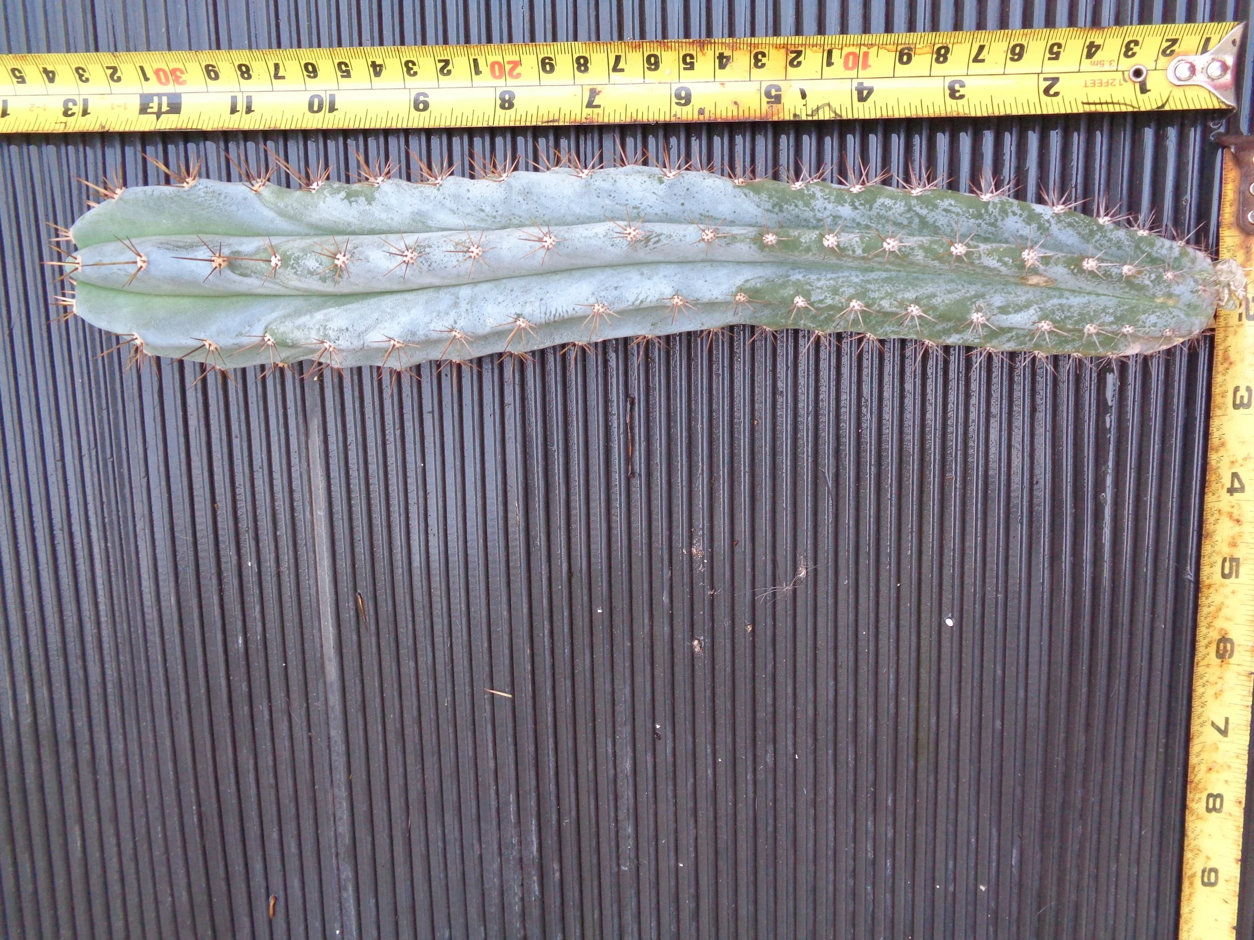 DSC01177.JPG