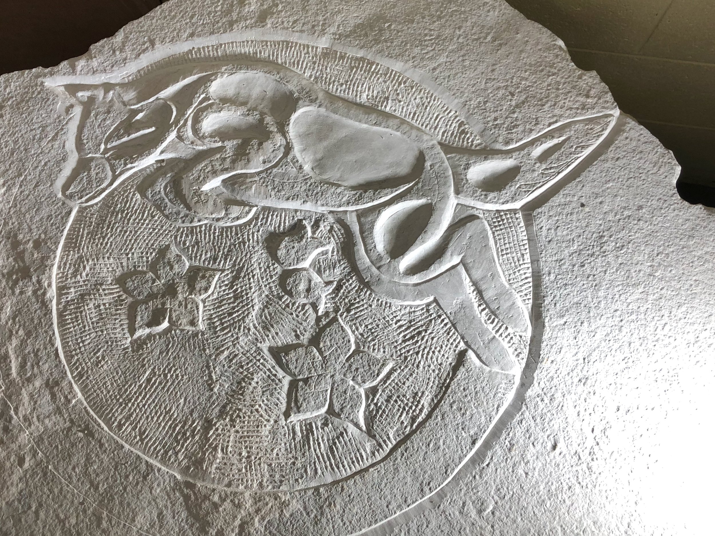 carving - 1 (3).jpeg