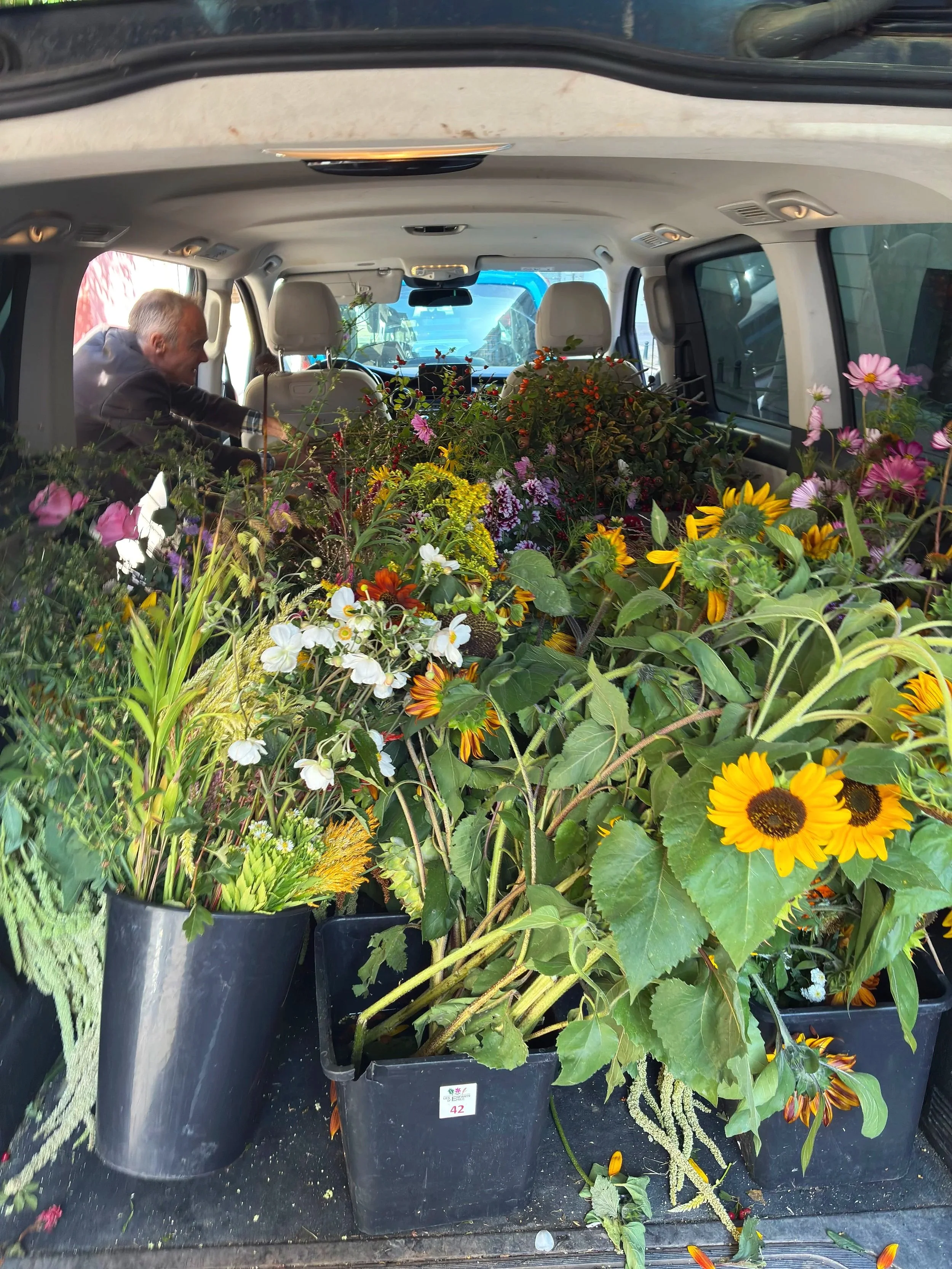 A collection of flowers straight from the field, inside a van, including sunflowers, dahlia, cosmos, and other colorful blooms.