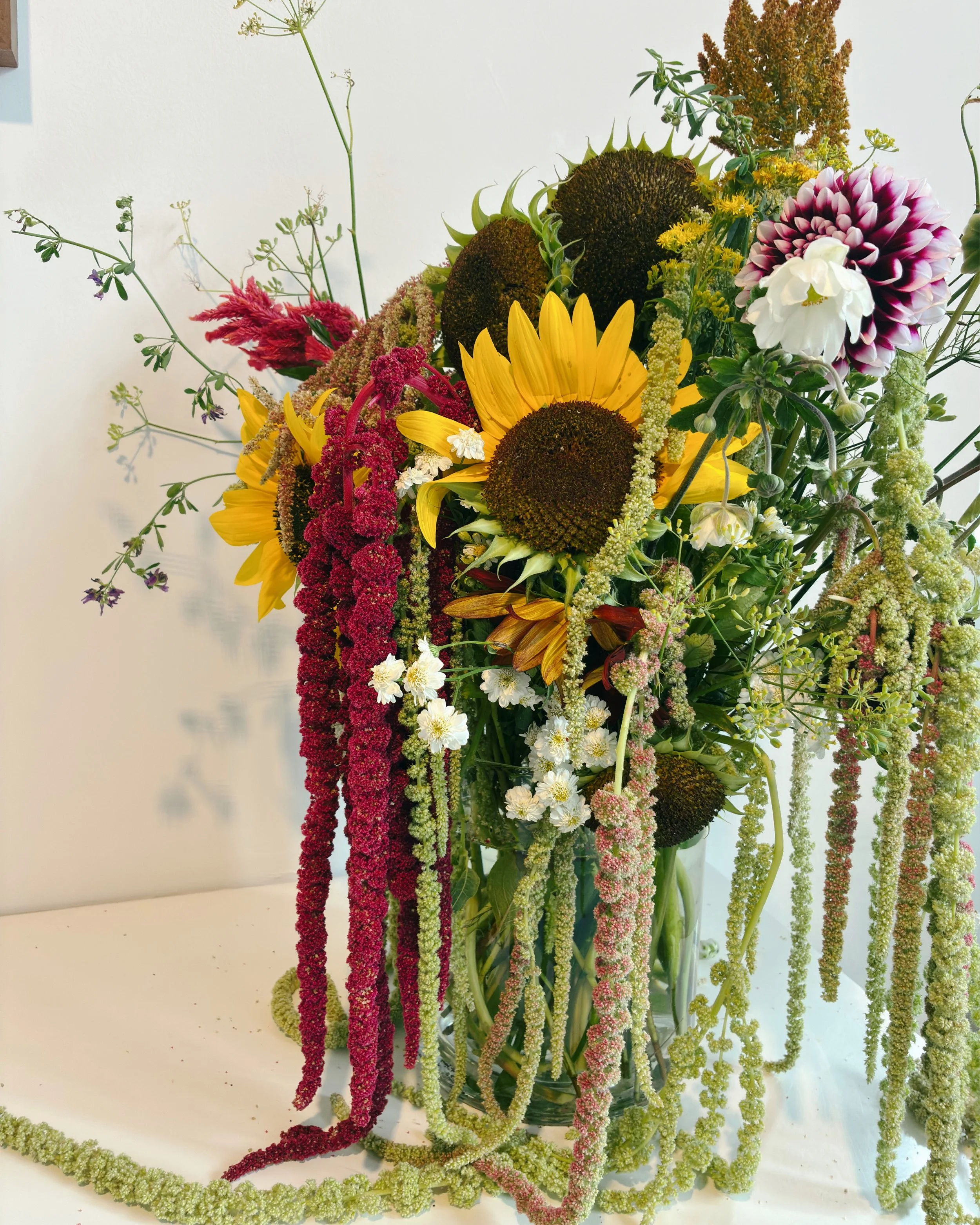 Colorful mixed flower bouquet with sunflowers, green and red amaranthus arranged in a clear glass vase against a plain background. All flowers came from a slow-flower farm, and are sustainably and locally grown