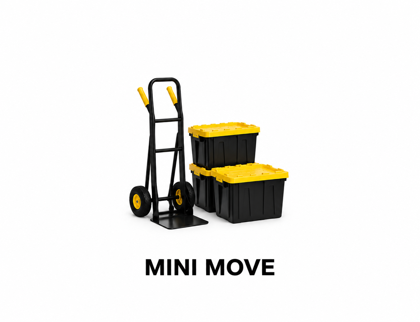 15 Bins + 1 Dolly