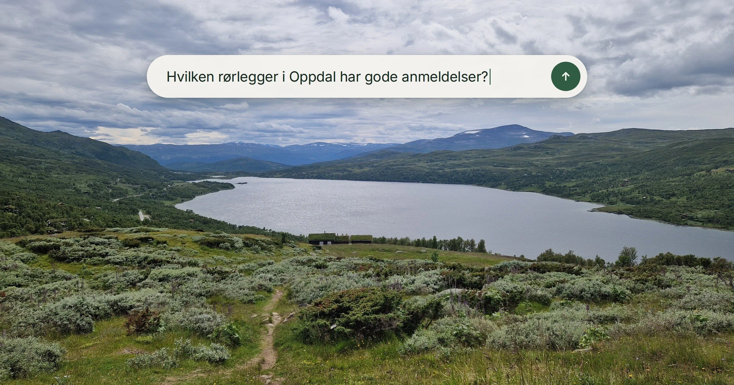 Slik blir lokale bedrifter funnet i AI-søk og på Google.