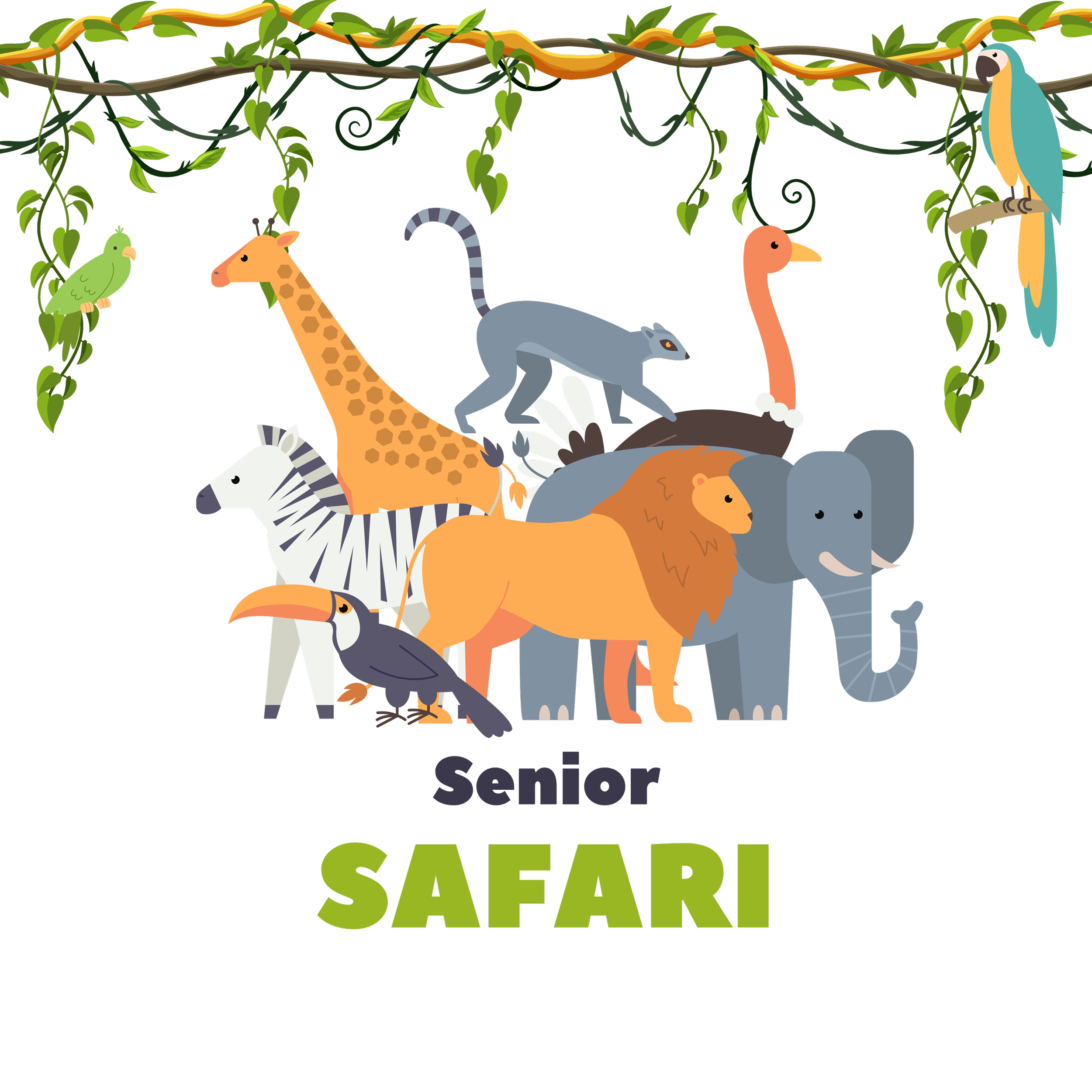 Senior Safari