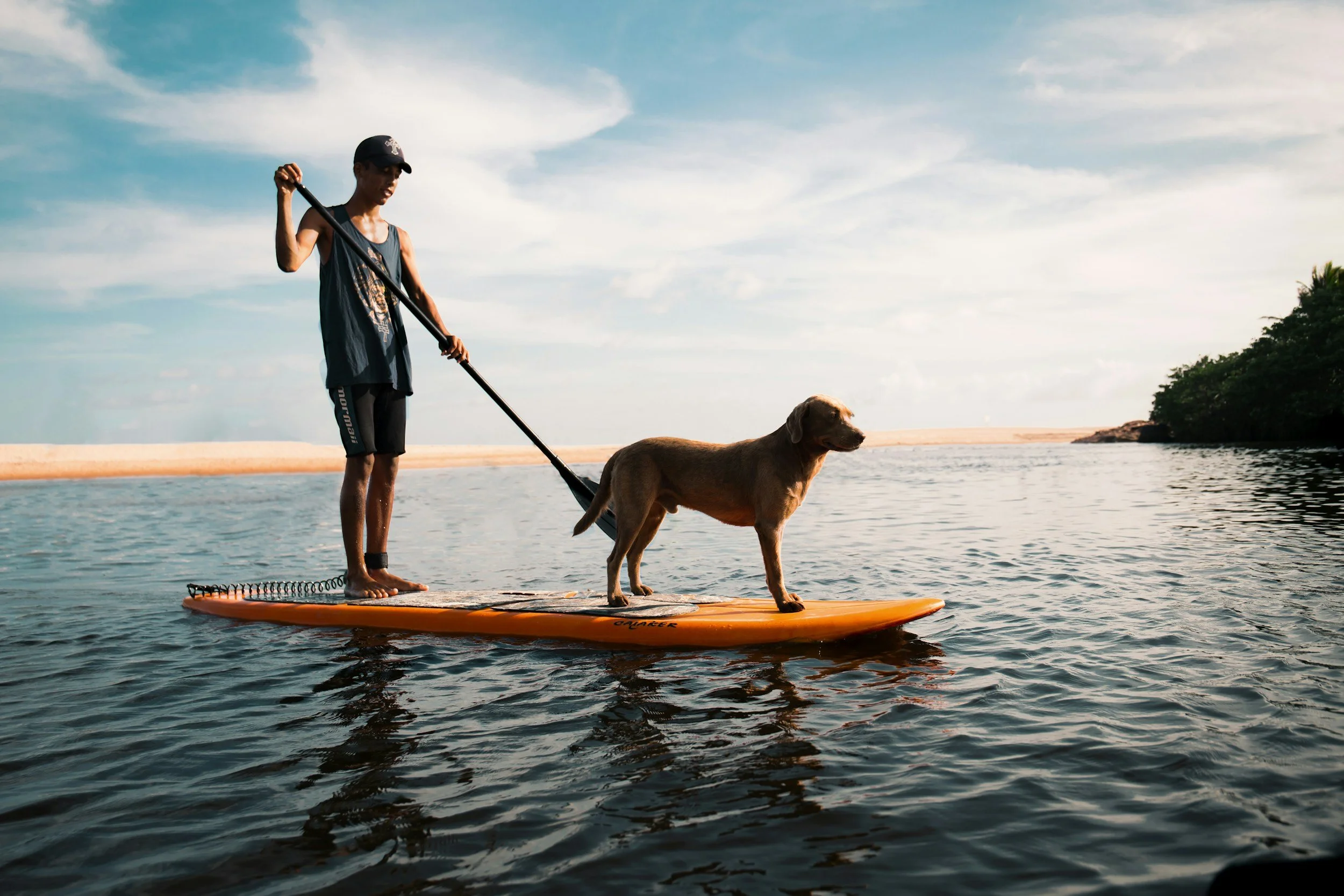 A person stands on an orange paddleboard, holding a paddle and wearing a black cap and sleeveless shirt, with a brown dog walking beside them. They are on a calm body of water with a sandy shoreline and greenery in the background, under a partly clou