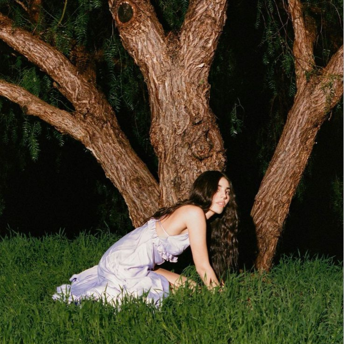 A woman with long dark hair wearing a light purple dress kneels on green grass near a large tree at night, looking to the side.